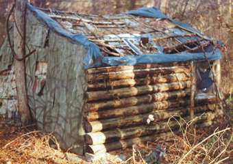The shack (cvlnation)