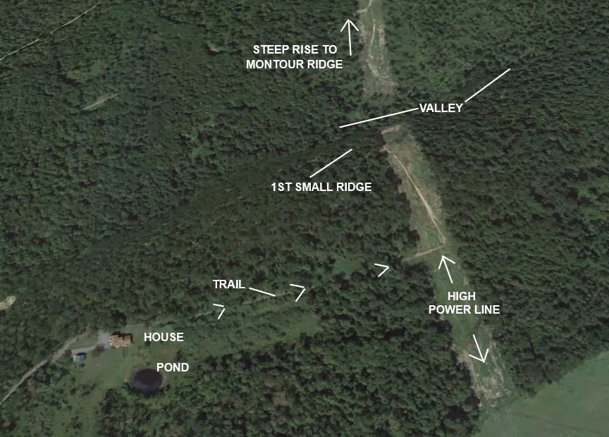 The Rest of the Property (Phantoms and Monsters)