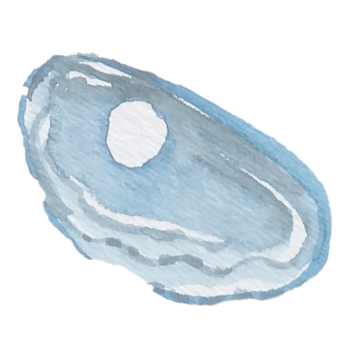 Pearl Wealth Investment Planning Shell Artwork.jpg