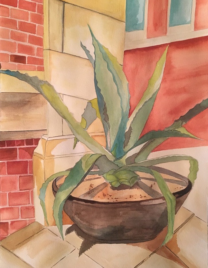 Plant Composition 1