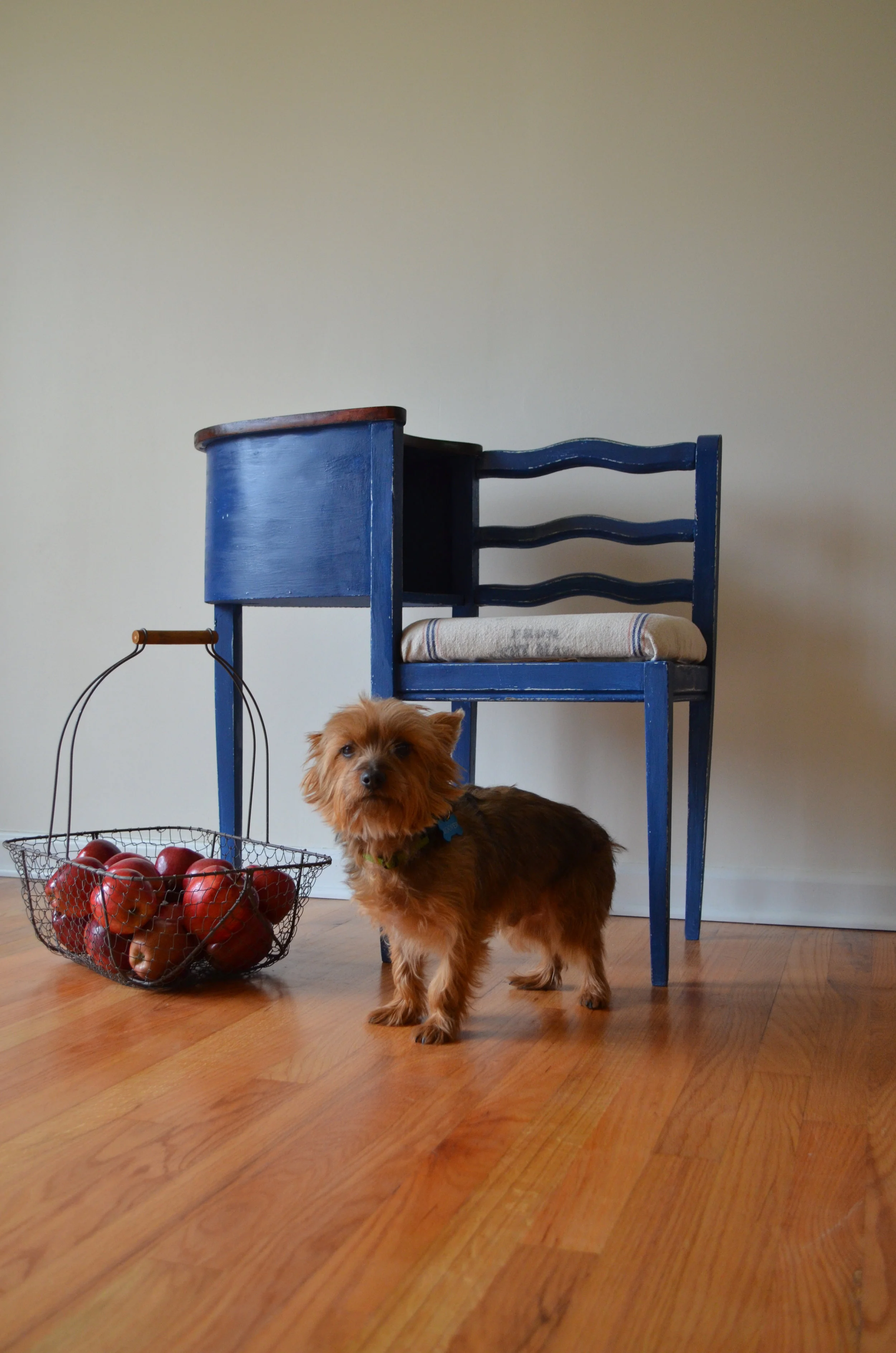 ring ring... Looper calling