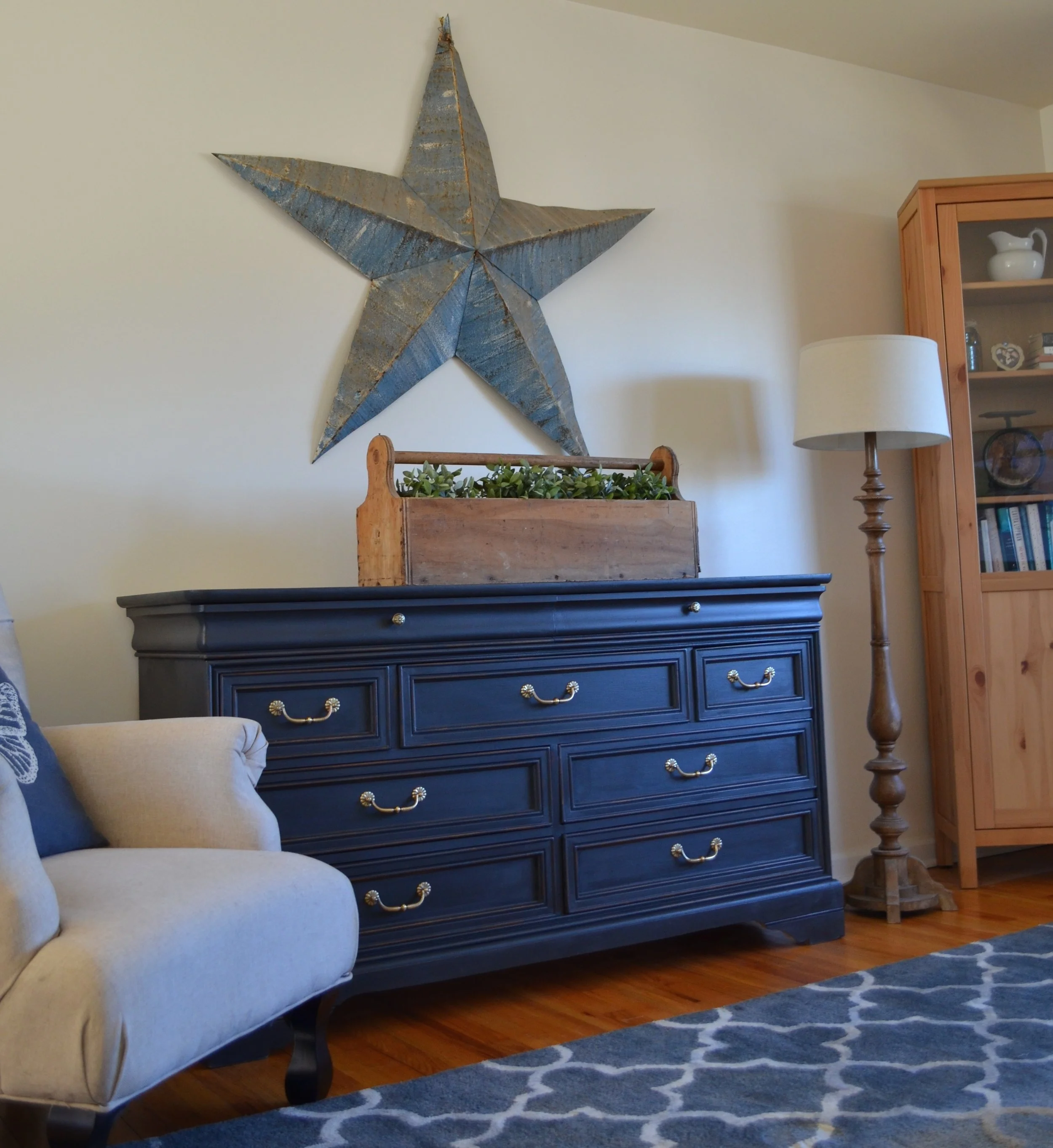 the black/navy chameleon