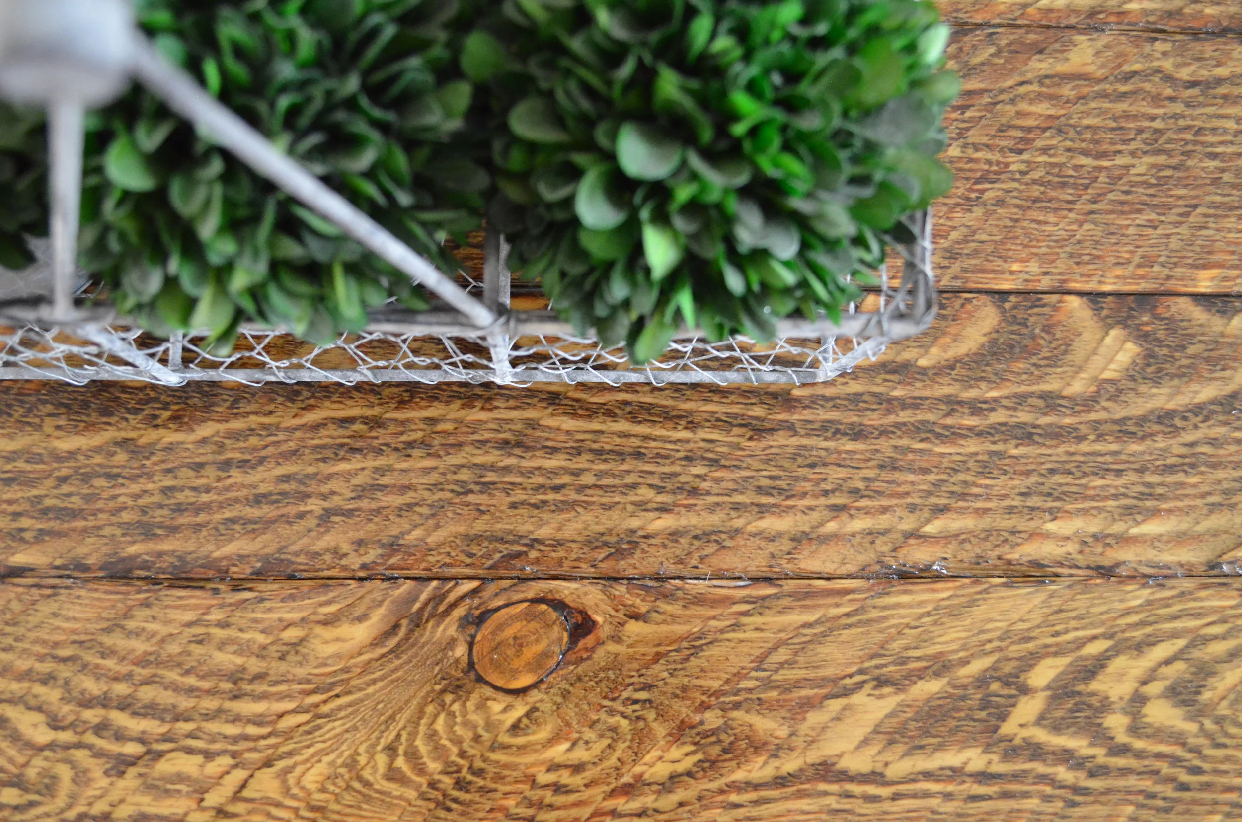 ghostwood meets black metal