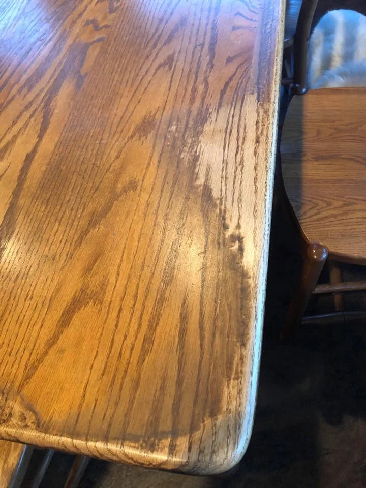 55666829_848970088778652_8613618111117000704_n.jpg