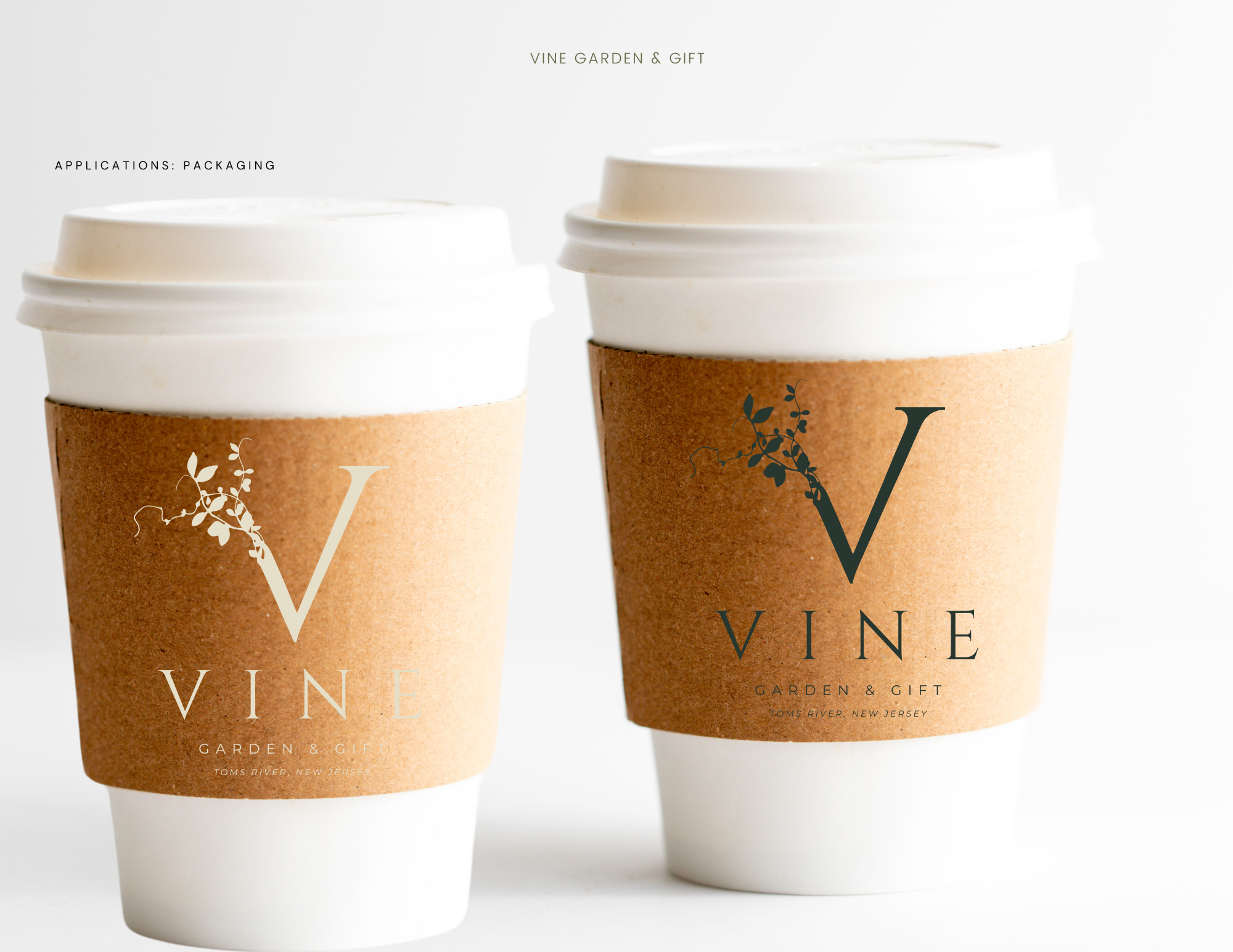 VINE BRAND BIBLE - 14.png