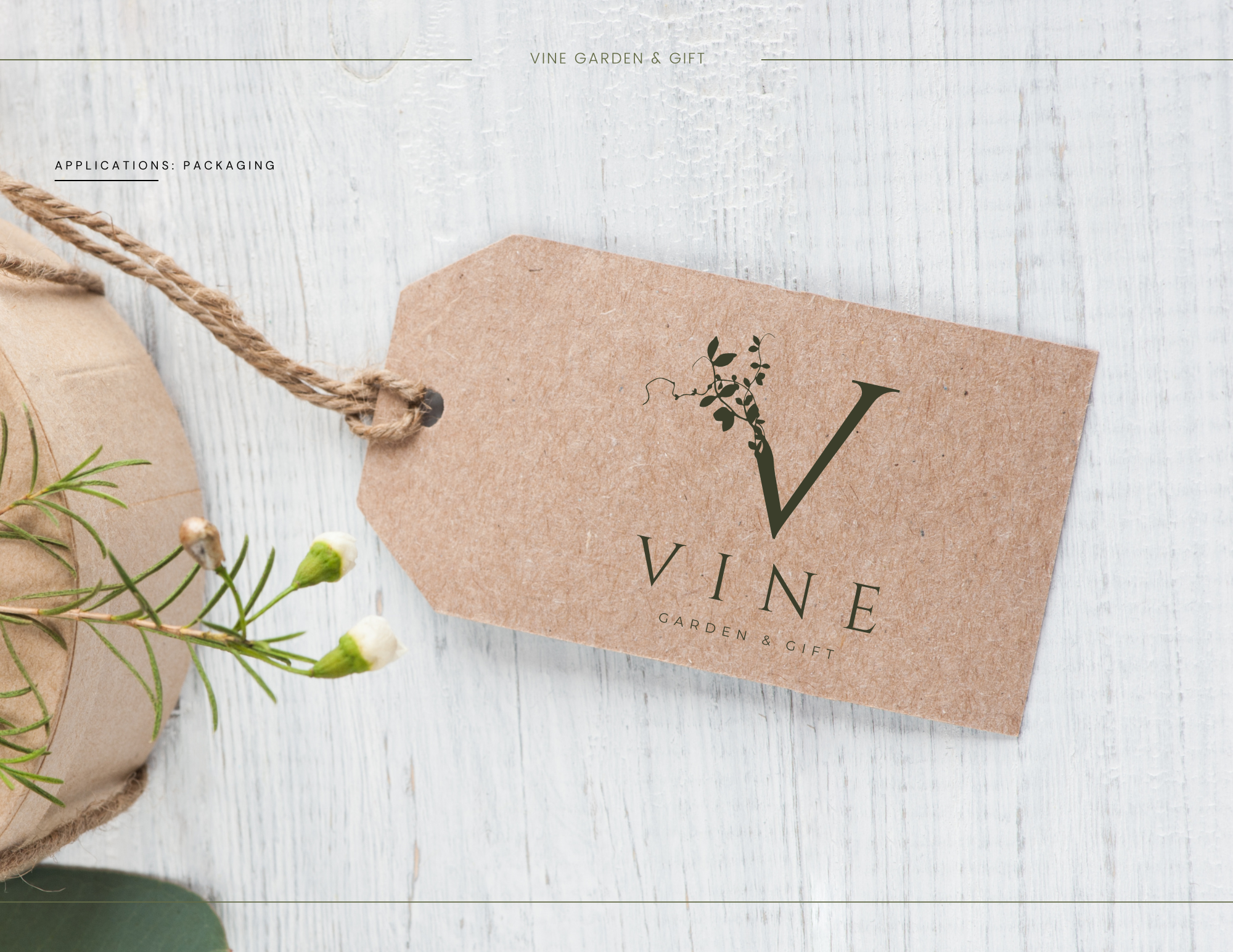 VINE BRAND BIBLE - 21.png