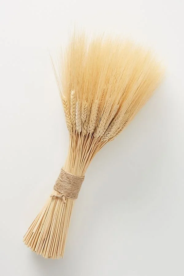 Dried wheat from Anthropologie