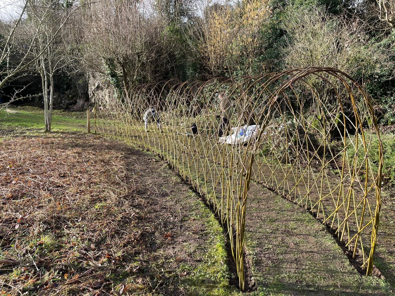 Sensory Garden Experience