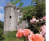 Nunney Castle