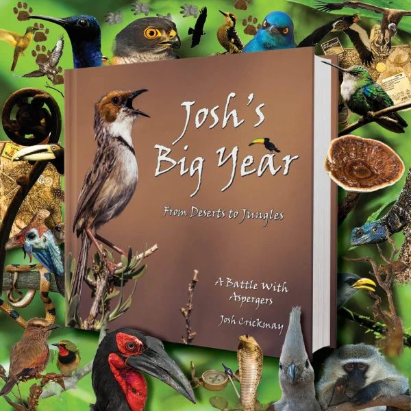 Book-Pic-600x600.jpg