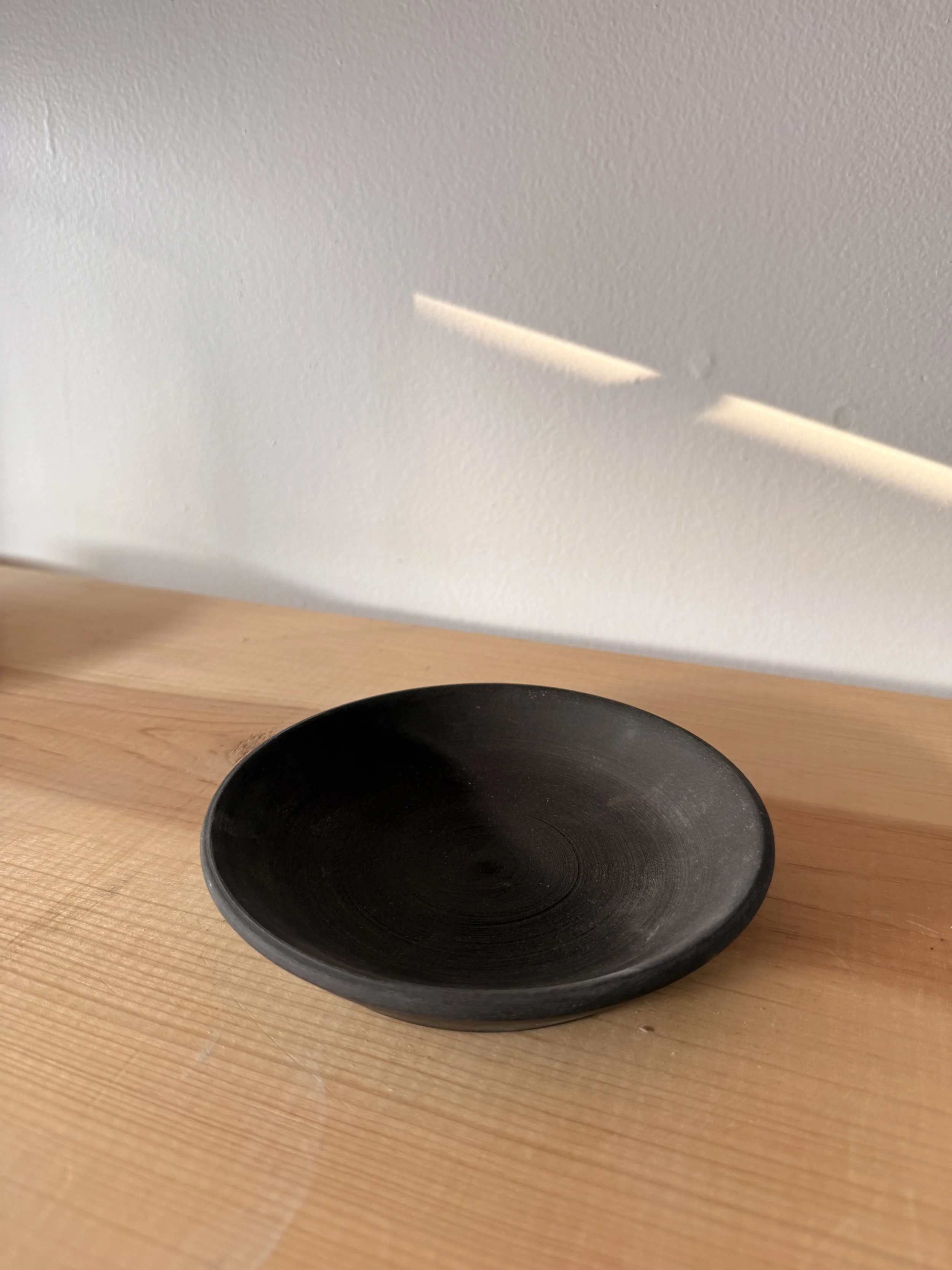 3” Dish Demo