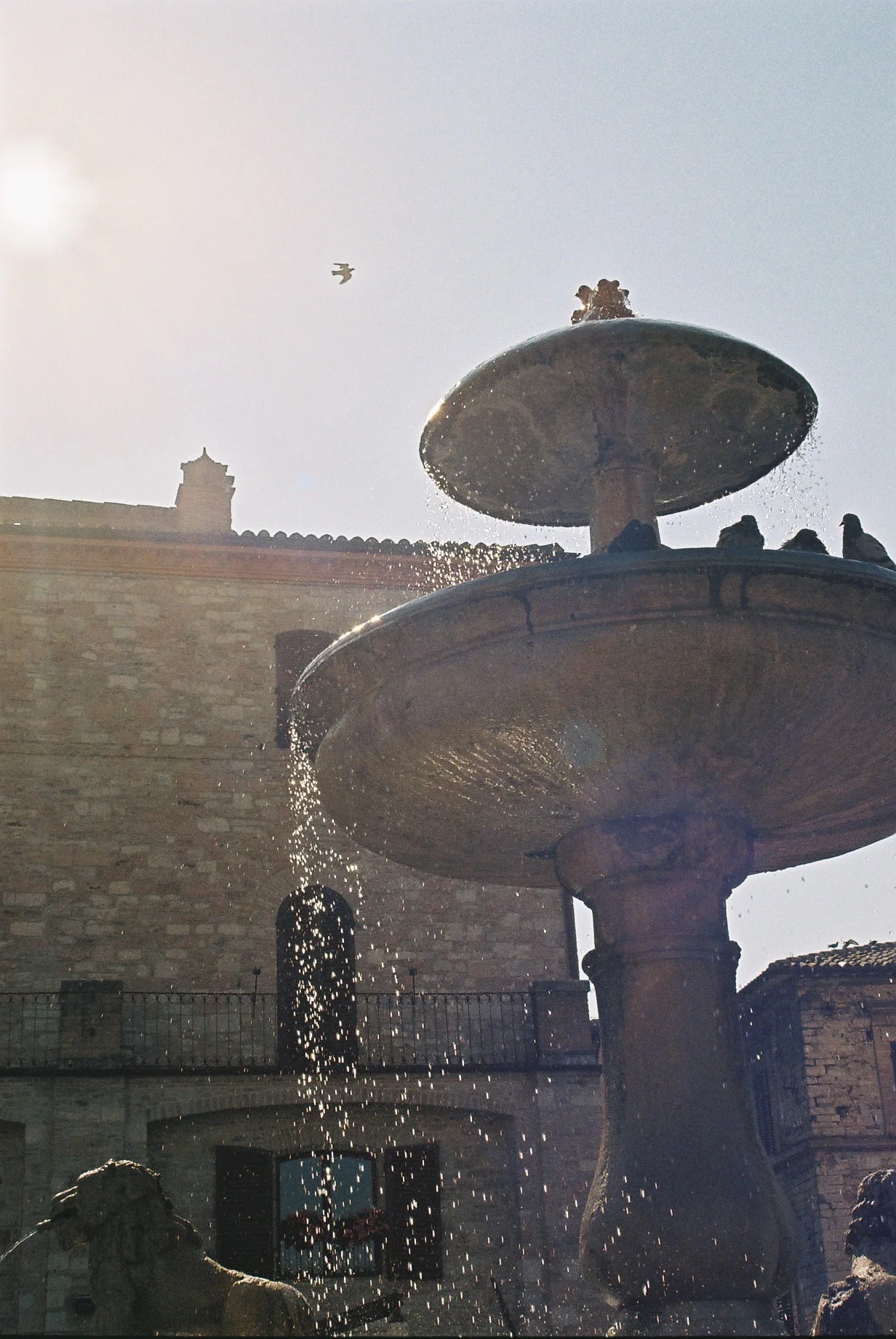  12 Days in the benedictine monastery of sct lucas  A Travel diary  Fabriano, Italy (2018)   