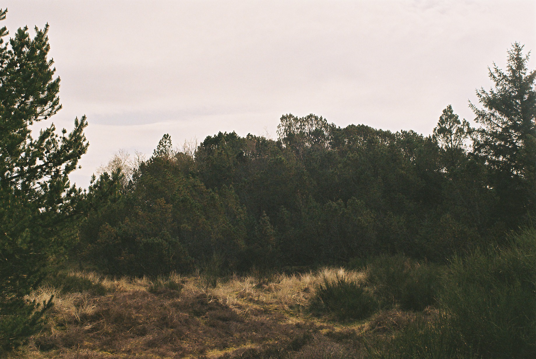  Heksehuset (2019)  Photo book (work in progress) 