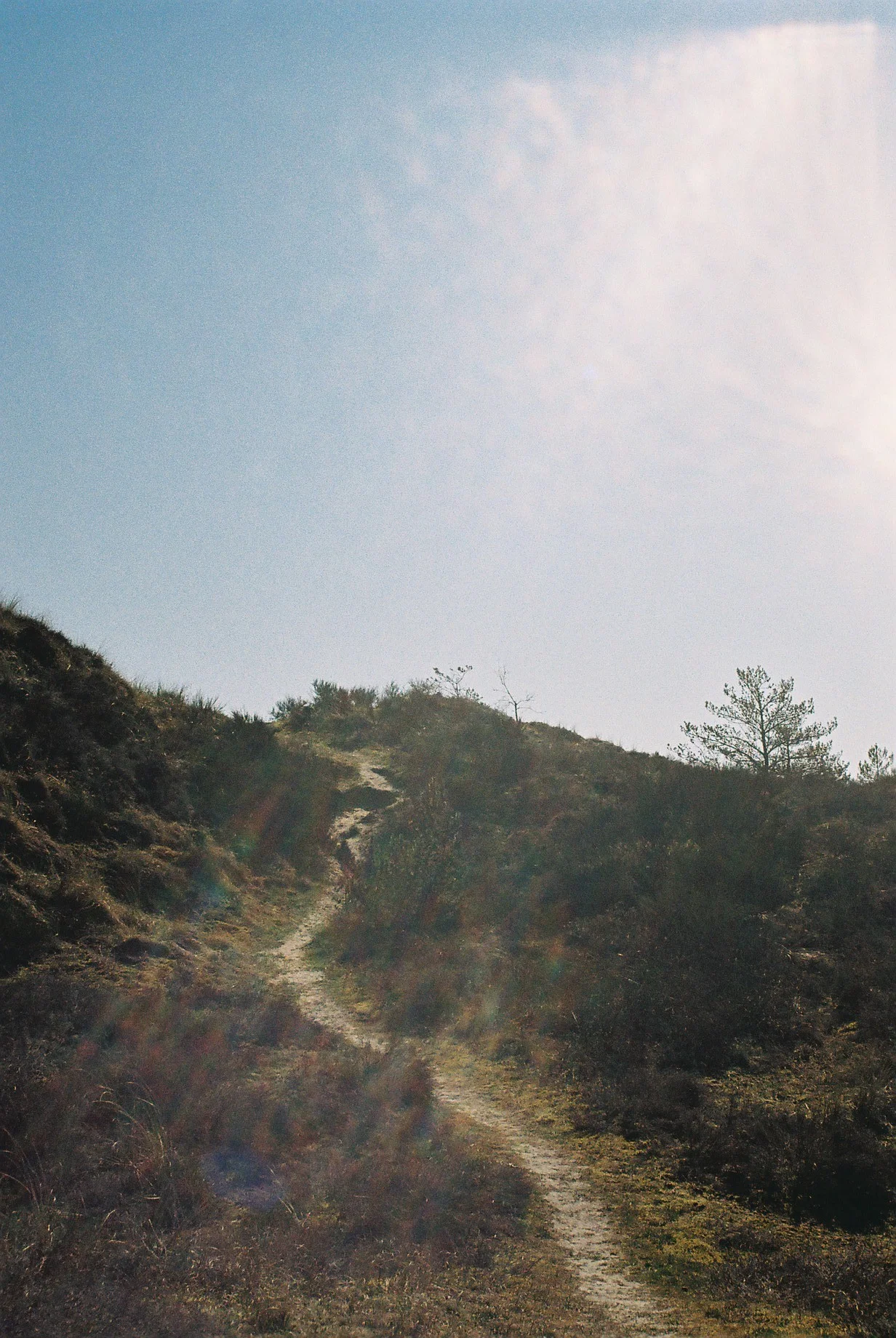  Heksehuset (2019)  Photo book (work in progress) 