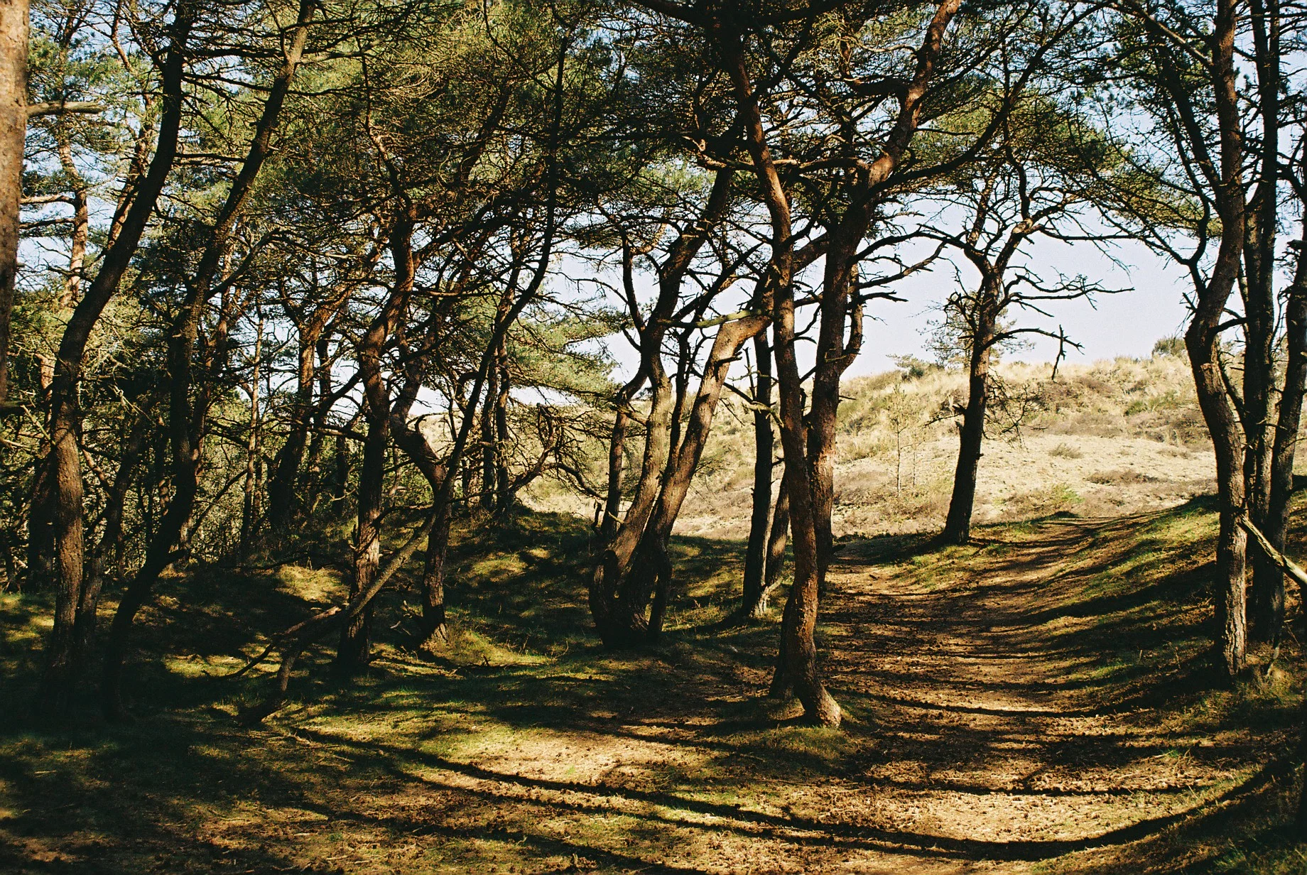  Heksehuset (2019)  Photo book (work in progress) 