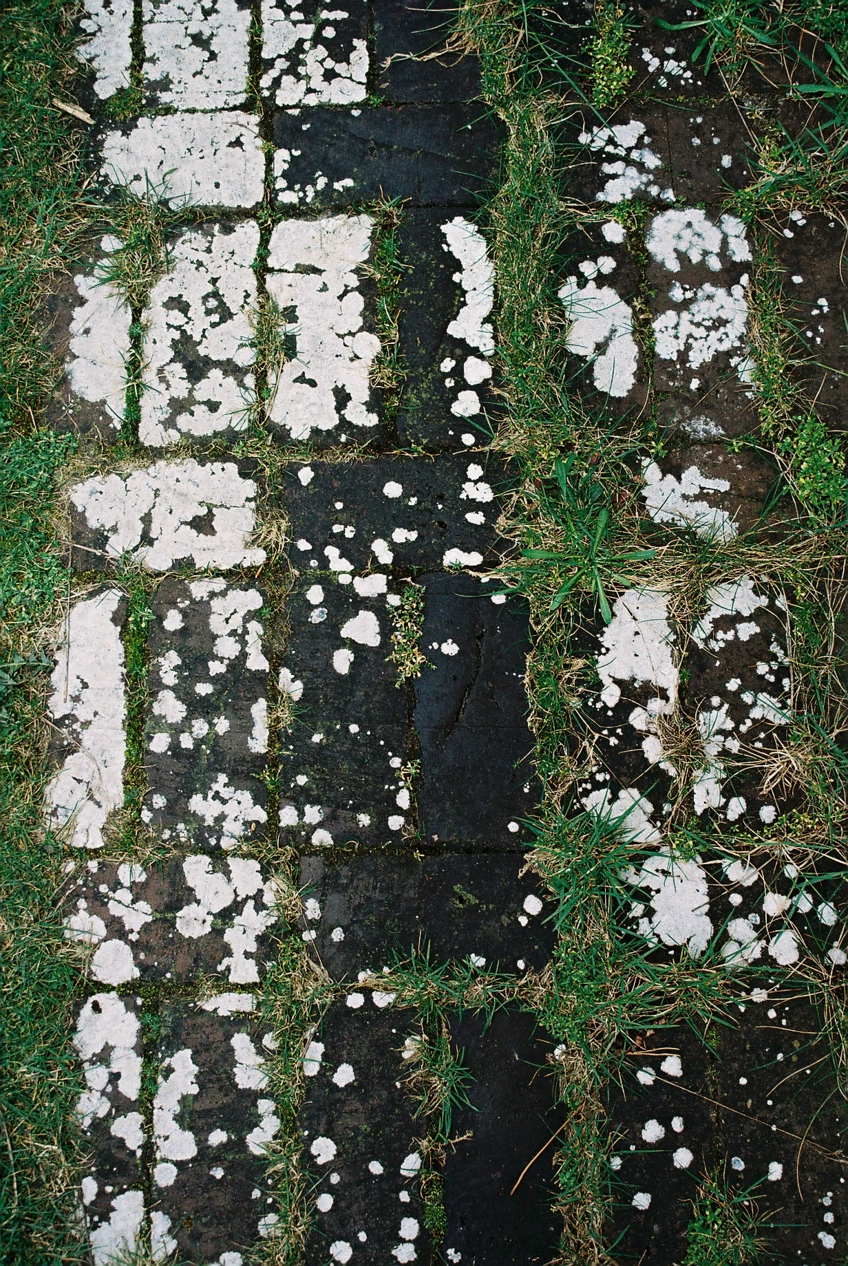  Heksehuset (2019)  Photo book (work in progress) 