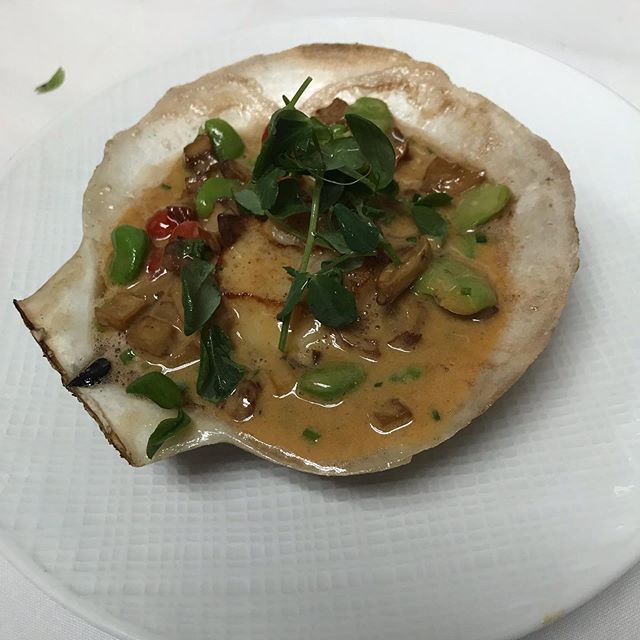 Scallop in its own shell