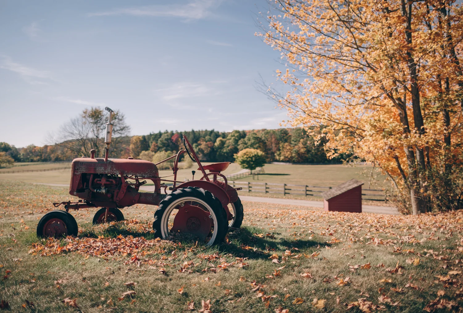 tractor.jpg