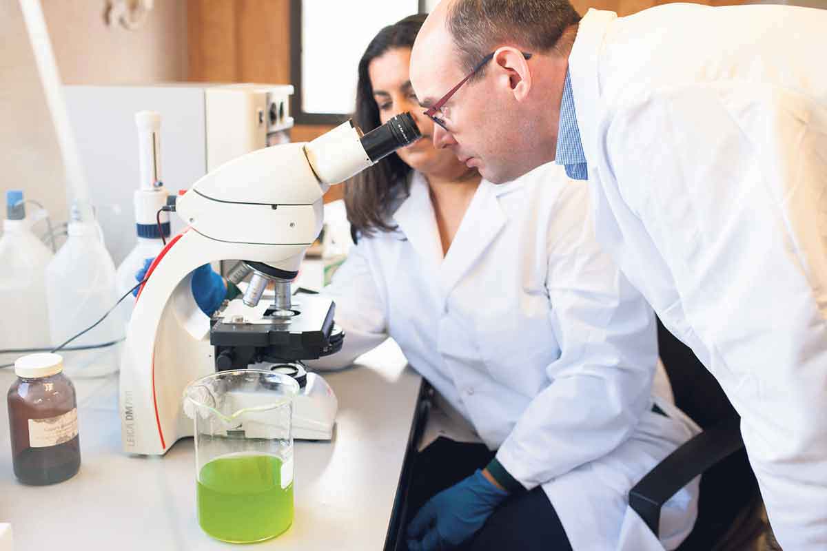Pond Technologies is part of a new wave of food-tech companies working to reduce the ecological footprint of the food system by using algae as a nutrient-rich ingredient. SUPPLIED