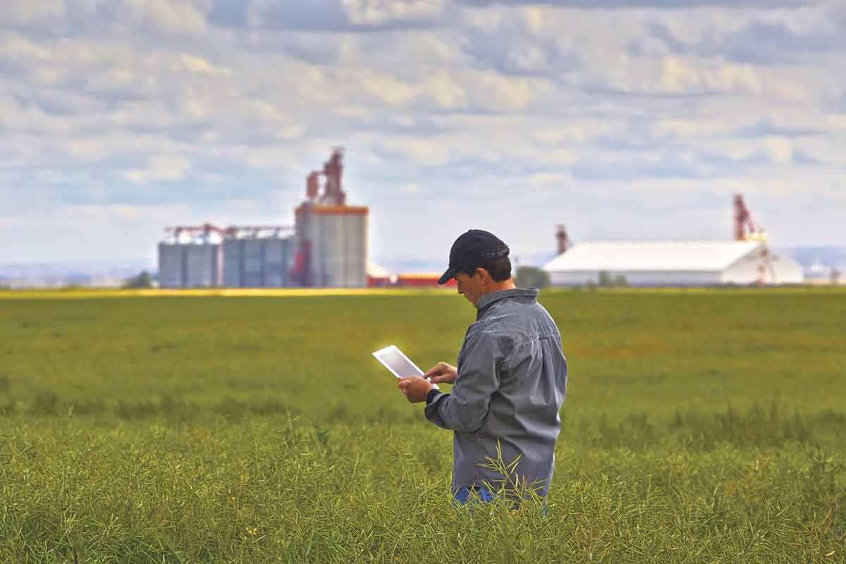 Innovation in the agriculture and agri-food sector is leading to increased yields and productivity. ISTOCK.COM