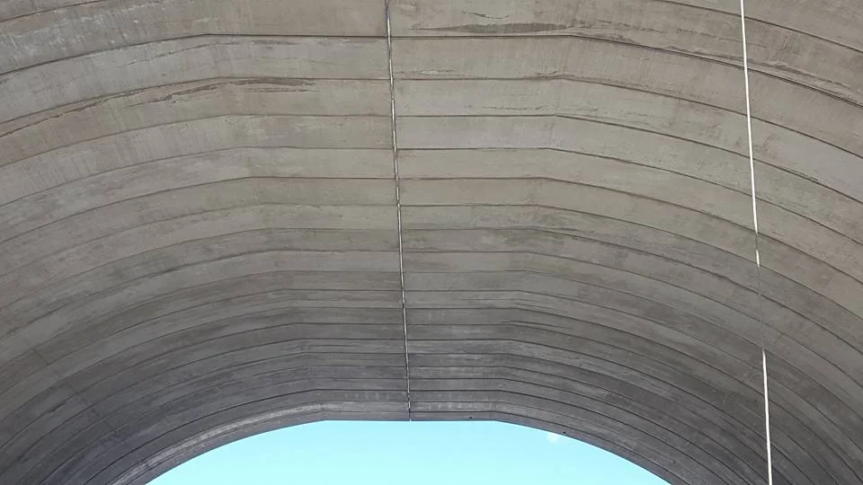 1000638_1317815704917827_843198165360479327_n.jpg