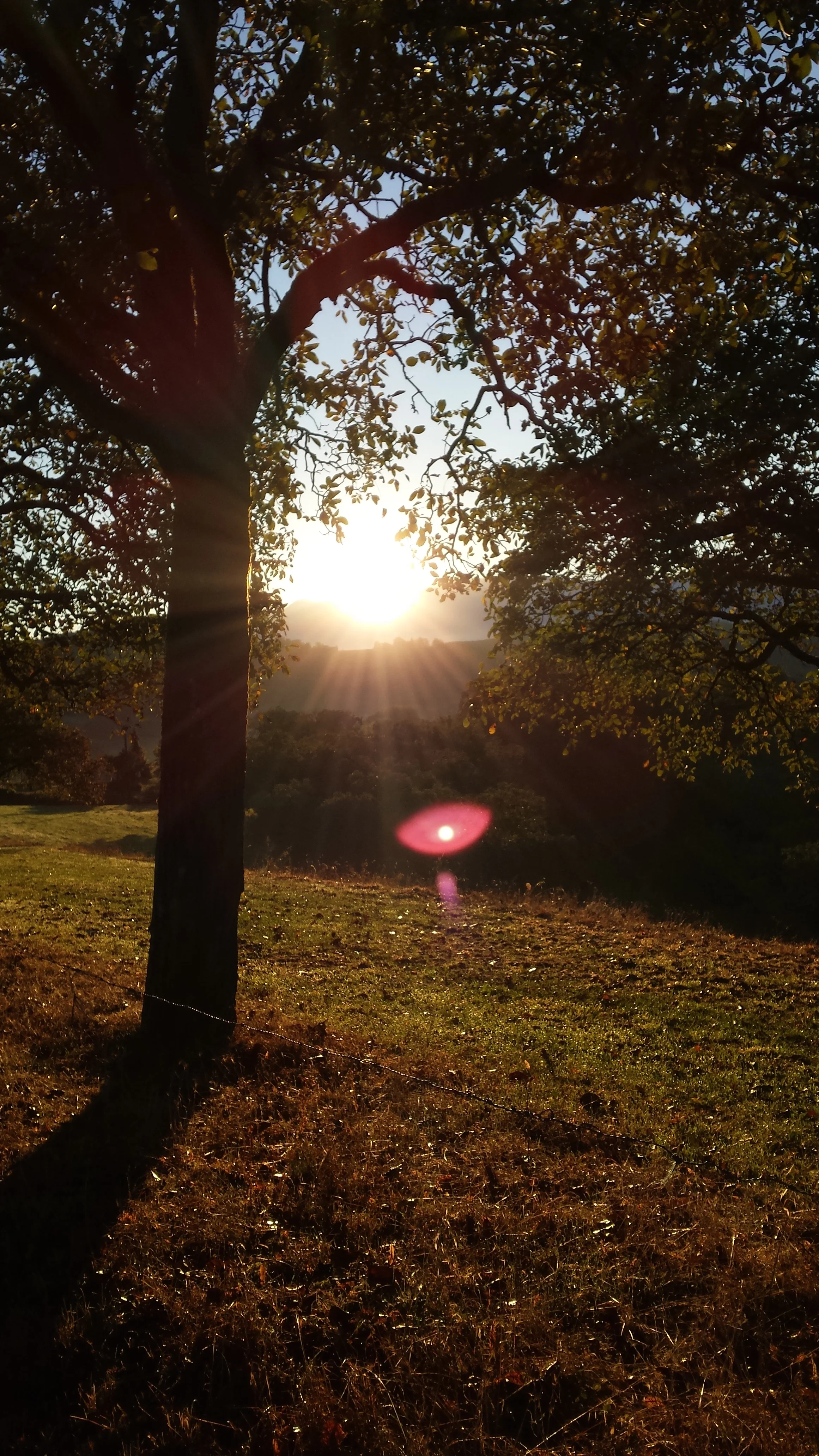 20151004_080721.jpg