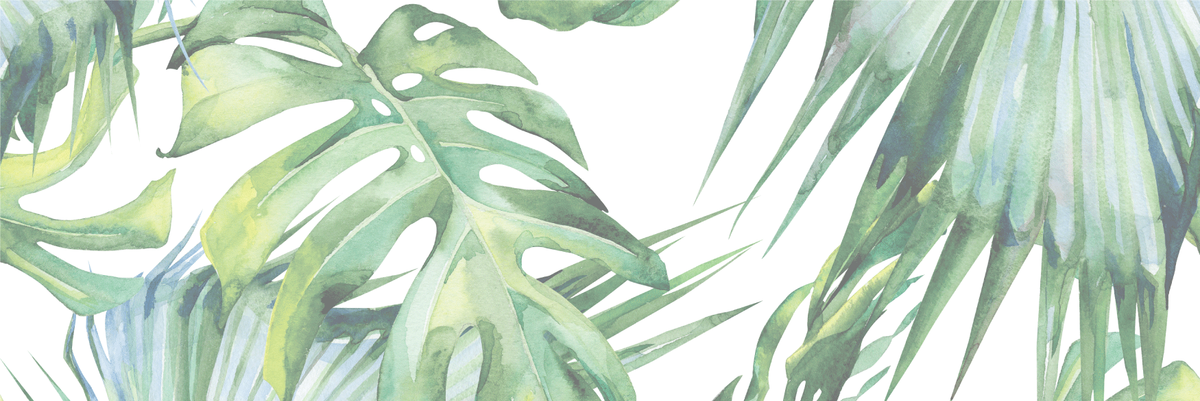 BB-Plant-Care-Header2.png