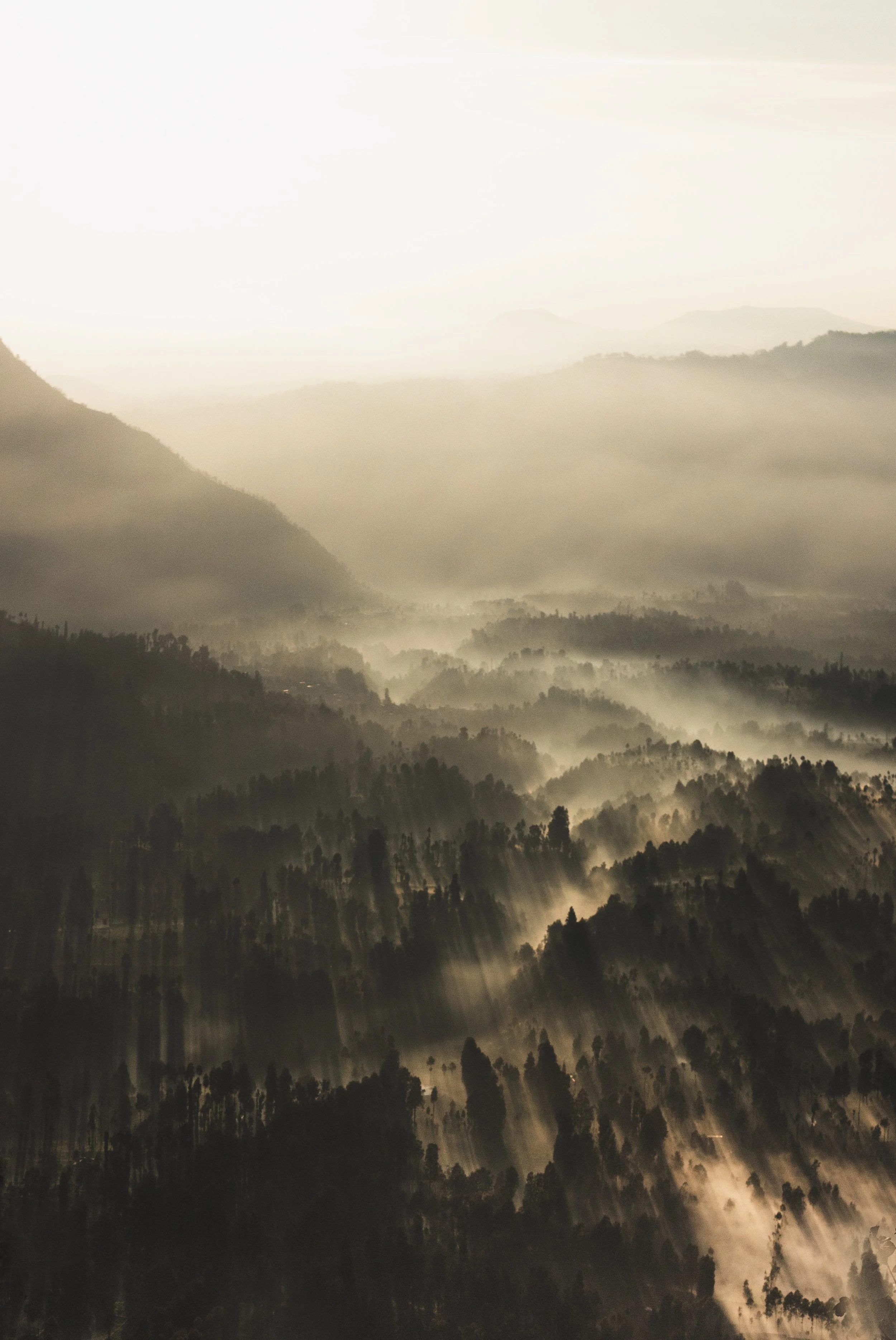 Count the Cost of Anger