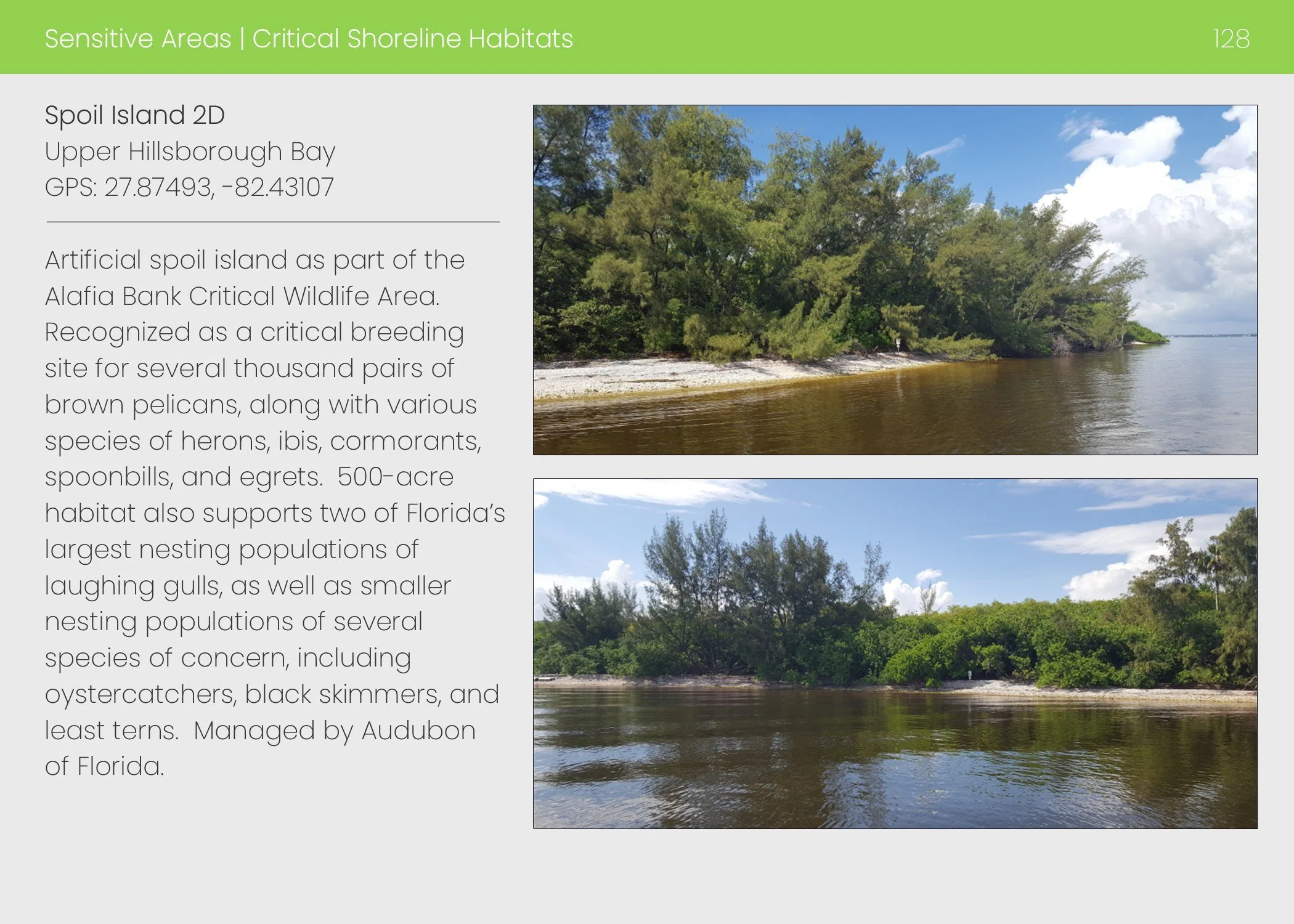 Sensitive Areas - Critical Shoreline Habitats.jpg