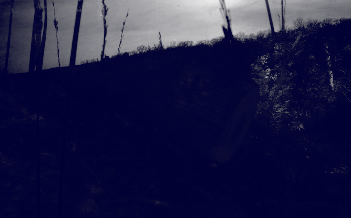 blue01.png