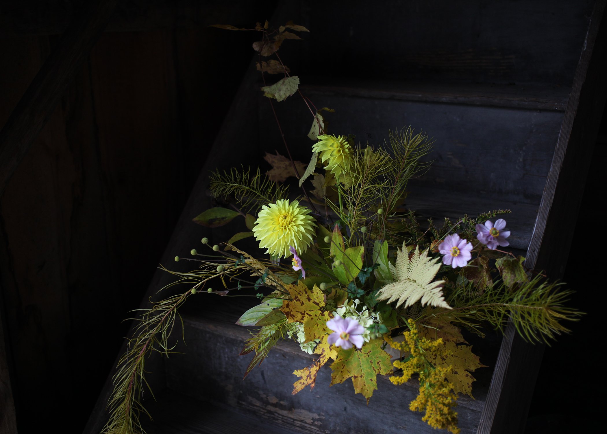 yellow dahlia.jpg