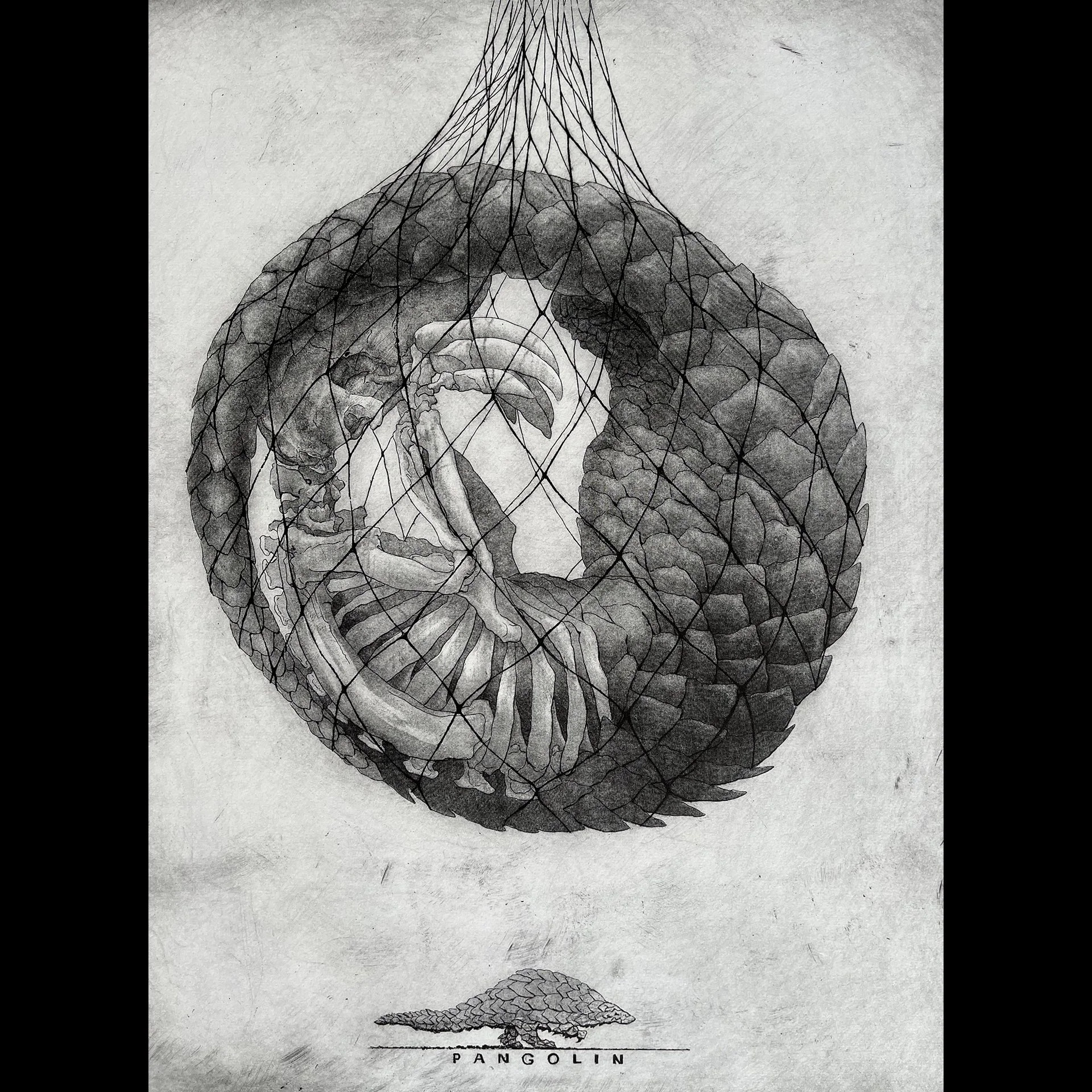 Steve Nowatzki - Booth #35