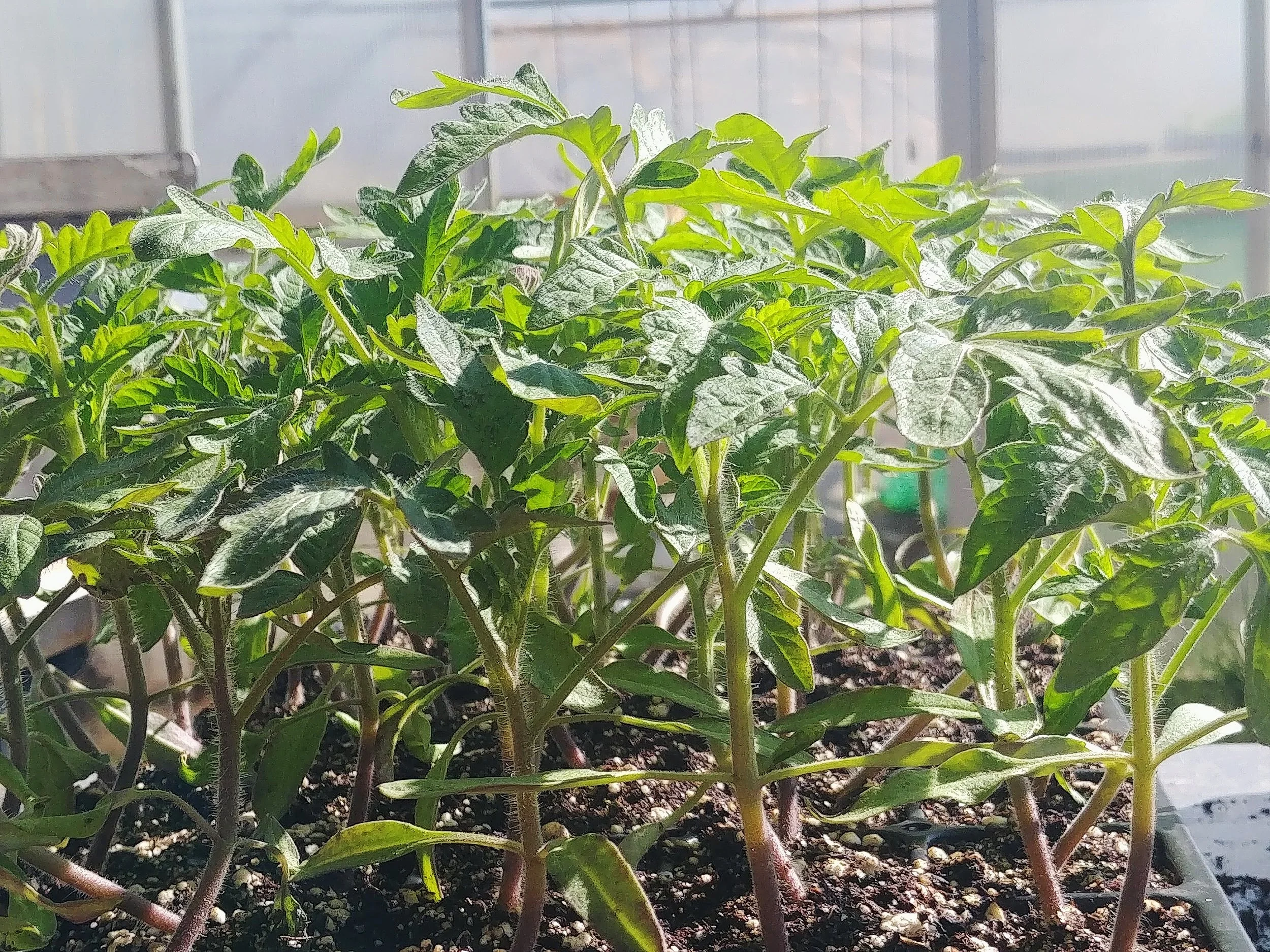 0316191039_HDR.jpg