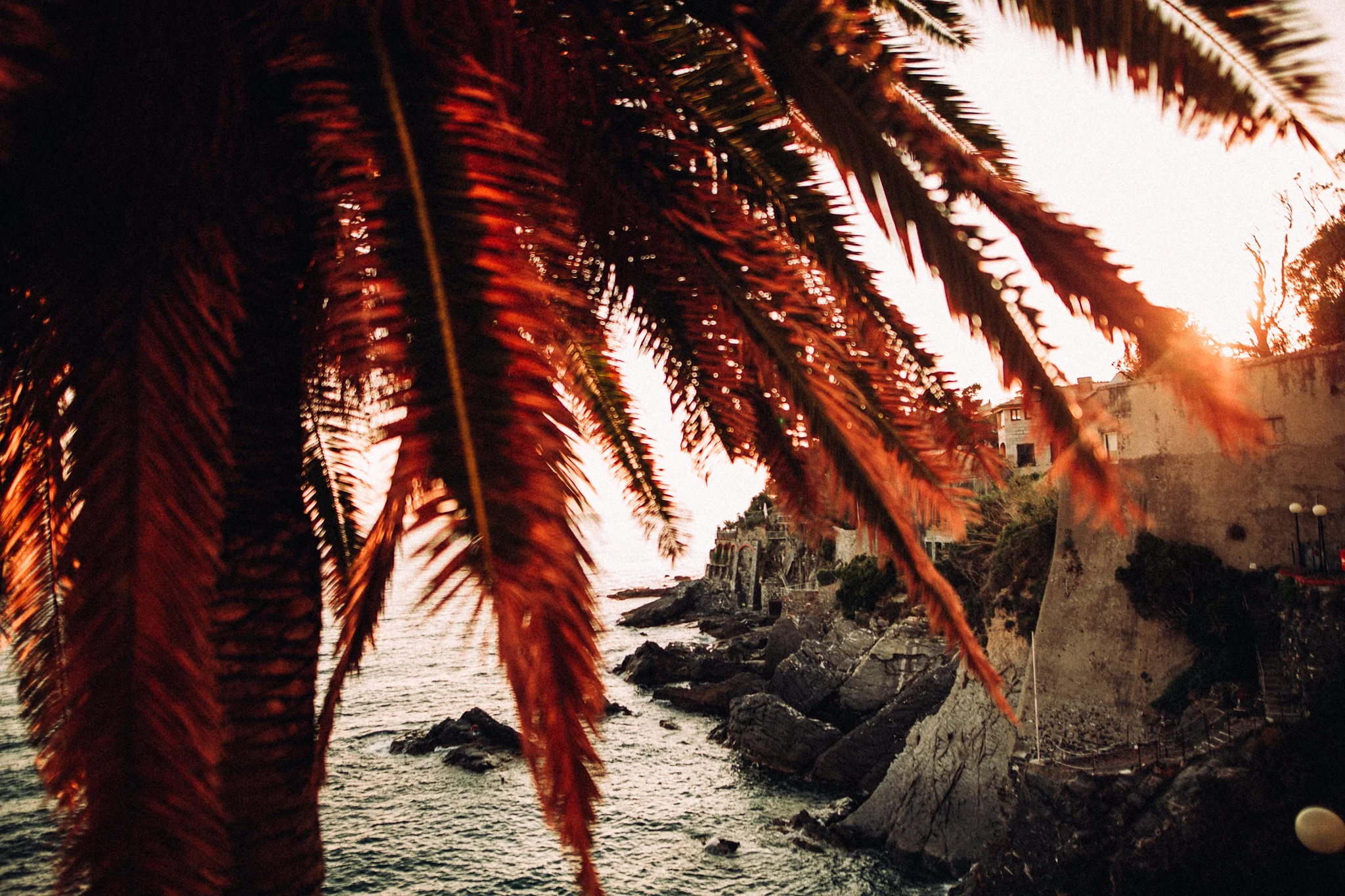 RoadtripToBarcelona-2-Web_MRCLTR.jpg