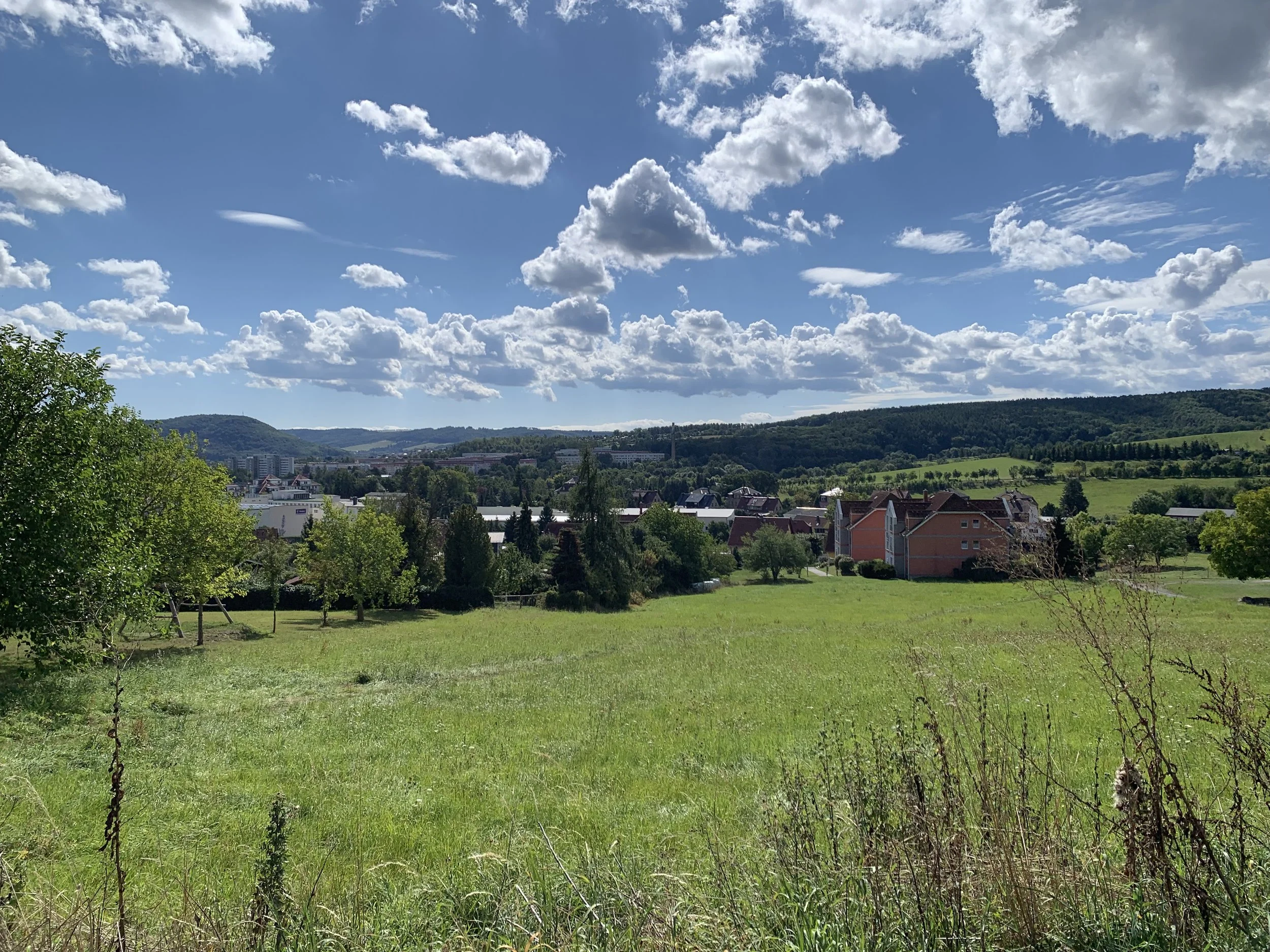 Blick übers Plangebiet