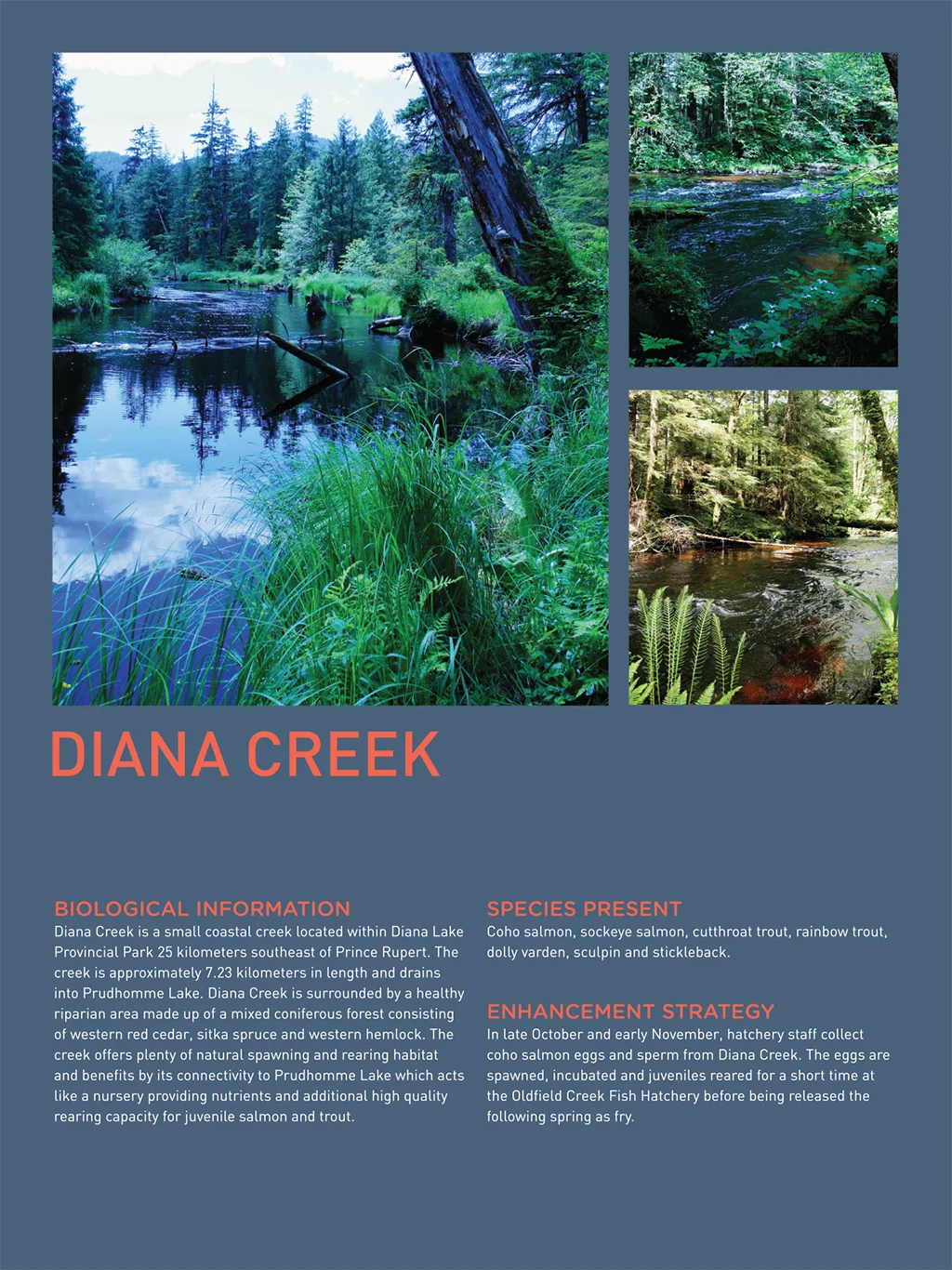 oldfield-creek-7.jpg