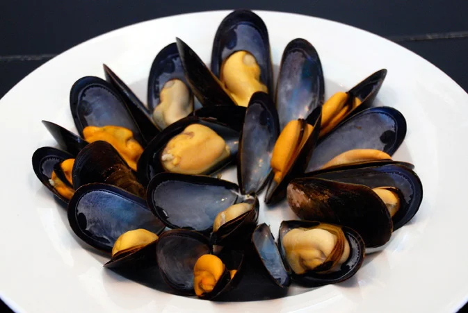 Salt Spring Mussels Info Sheet Photo 2.jpg