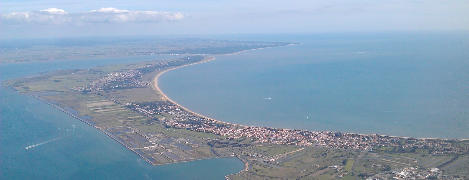 France-Turbot-Landscape.png