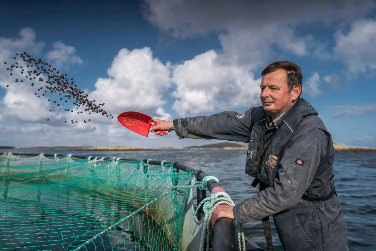 That marine content is composed almost entirely of processing by-products from a MSC-certified fishery.