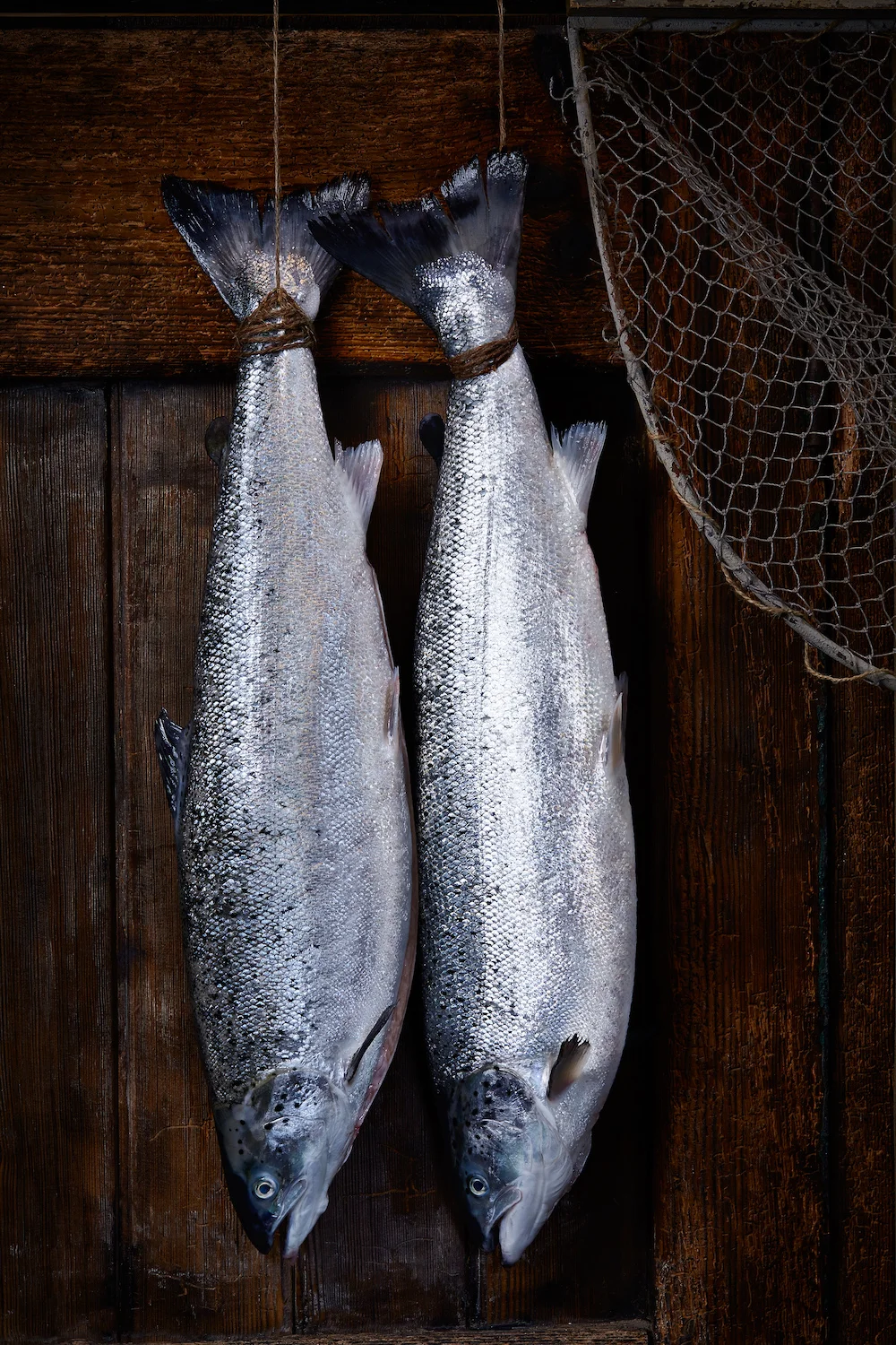 How a Farmed Fish from Scotland Changed My Mind About Everything