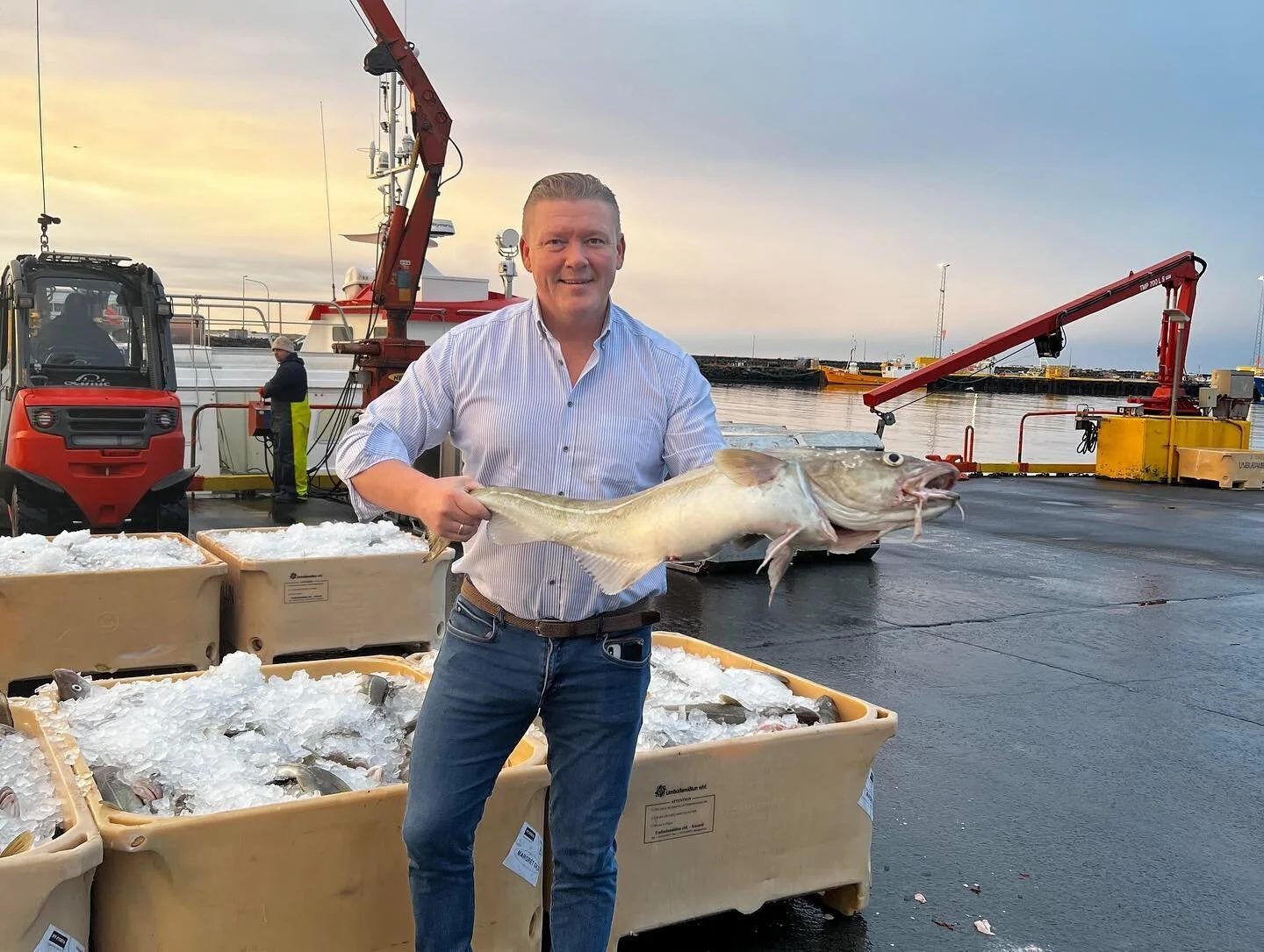 Laughing Bird Shrimp — CleanFish