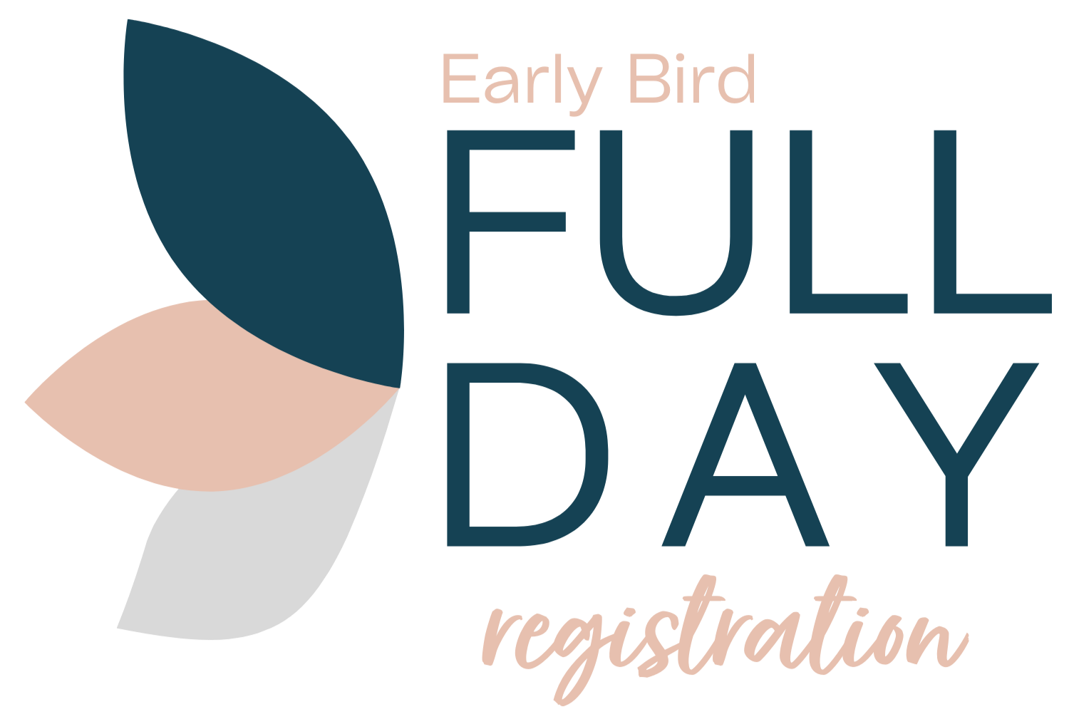 Early Bird Special, Full Conference  | $229