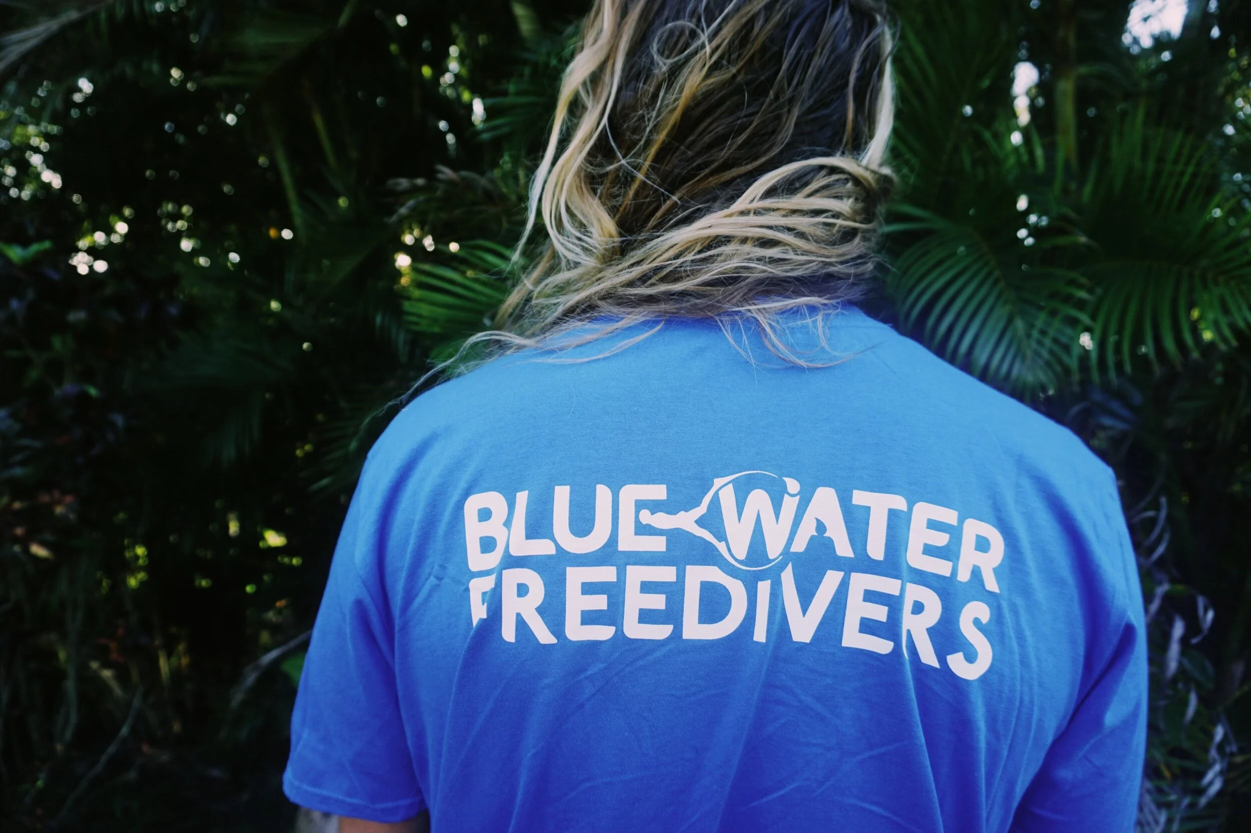 56571D8D-D45C-4009-88A7-17A50FFD6C2A