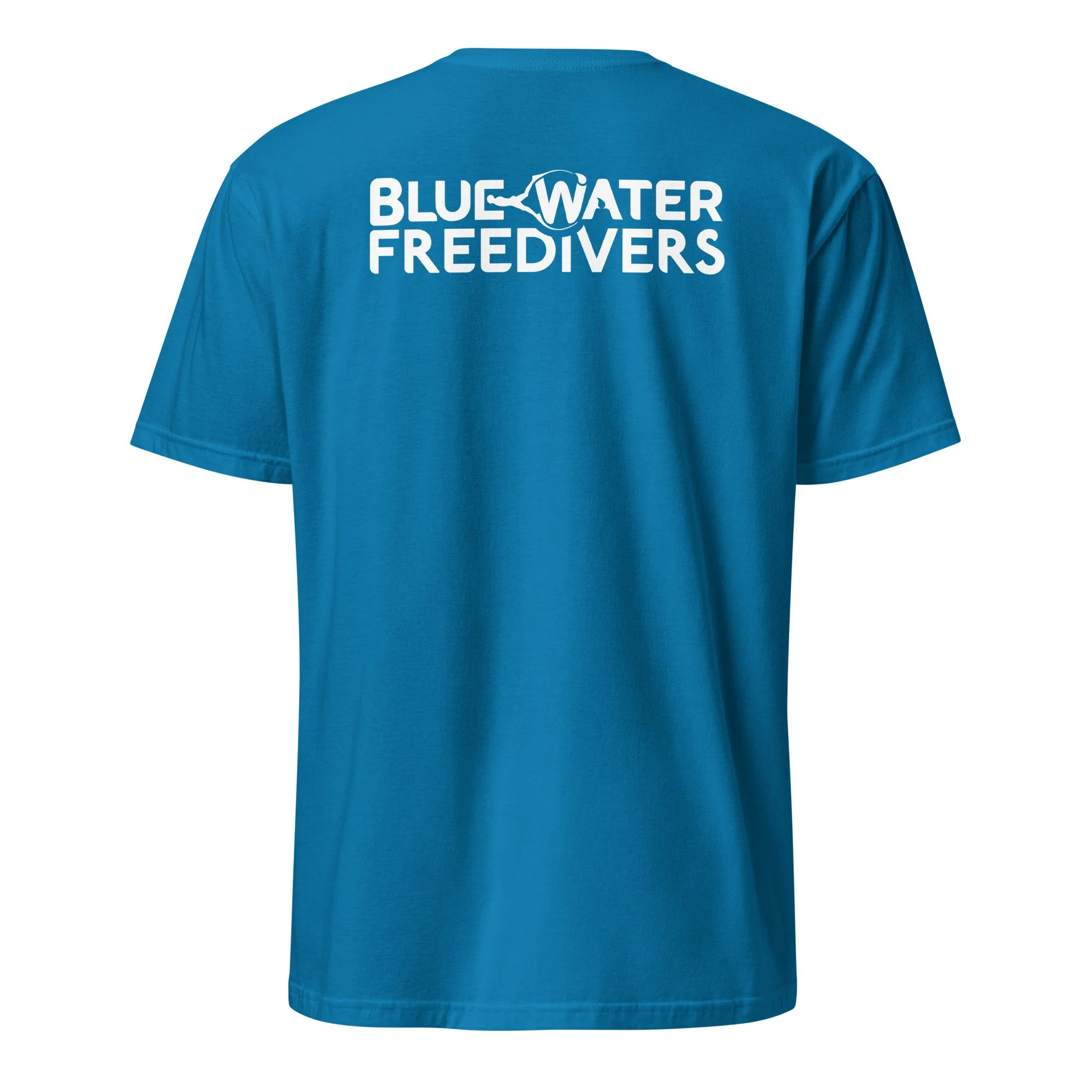 unisex-basic-softstyle-t-shirt-sapphire-back-68df18b1959b3.jpg