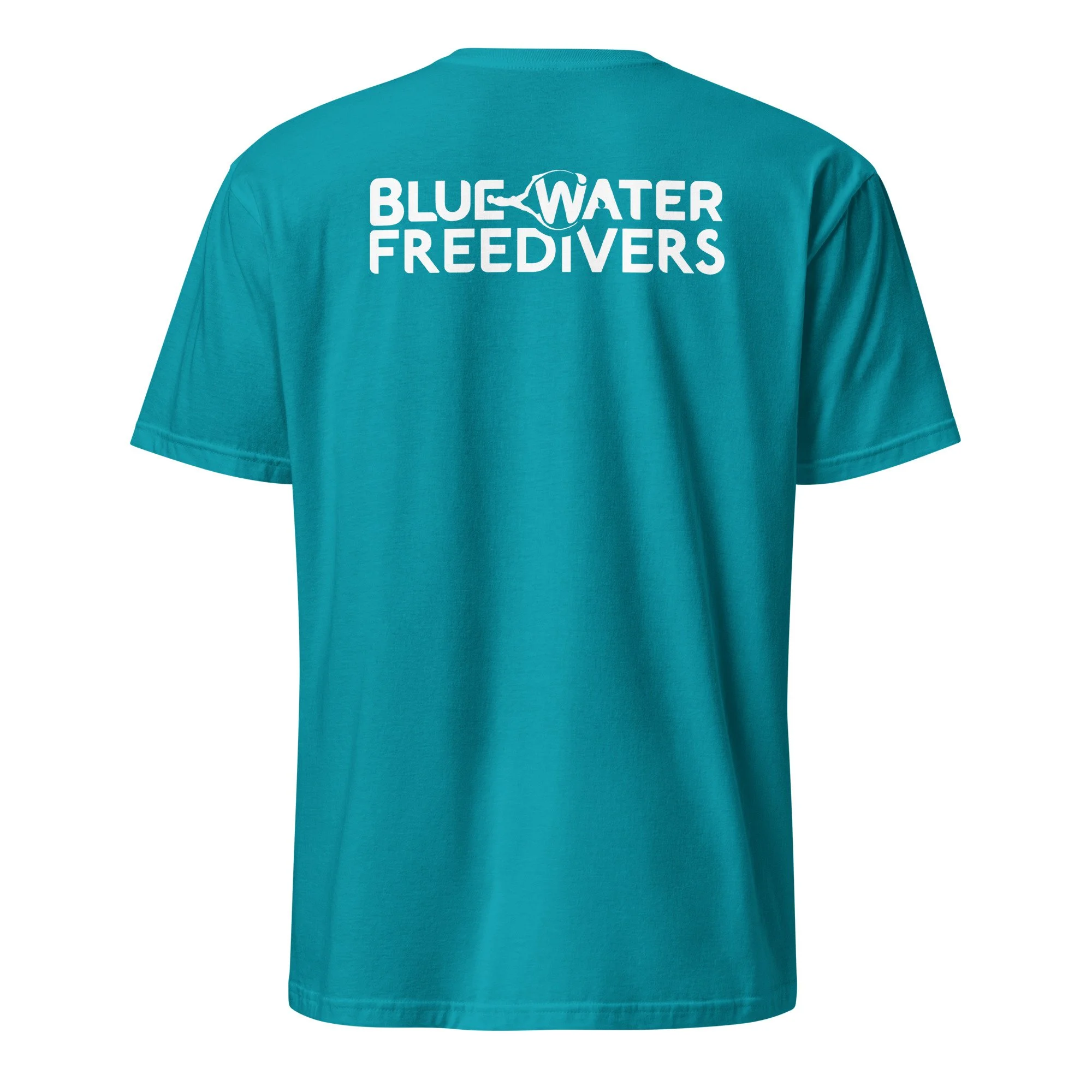 unisex-basic-softstyle-t-shirt-tropical-blue-back-68df18b1c435d.jpg