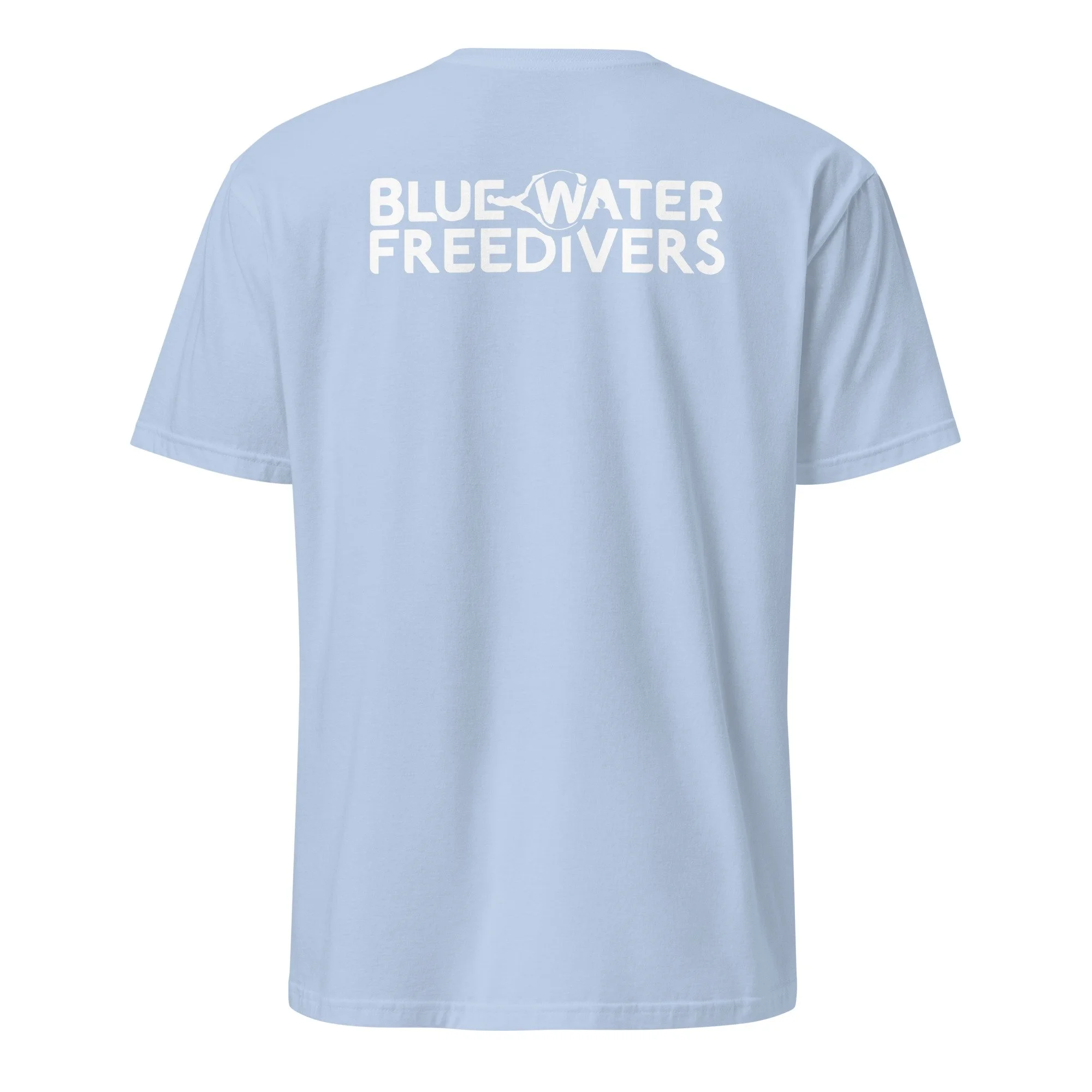 unisex-basic-softstyle-t-shirt-light-blue-back-68df18b20d877.jpg