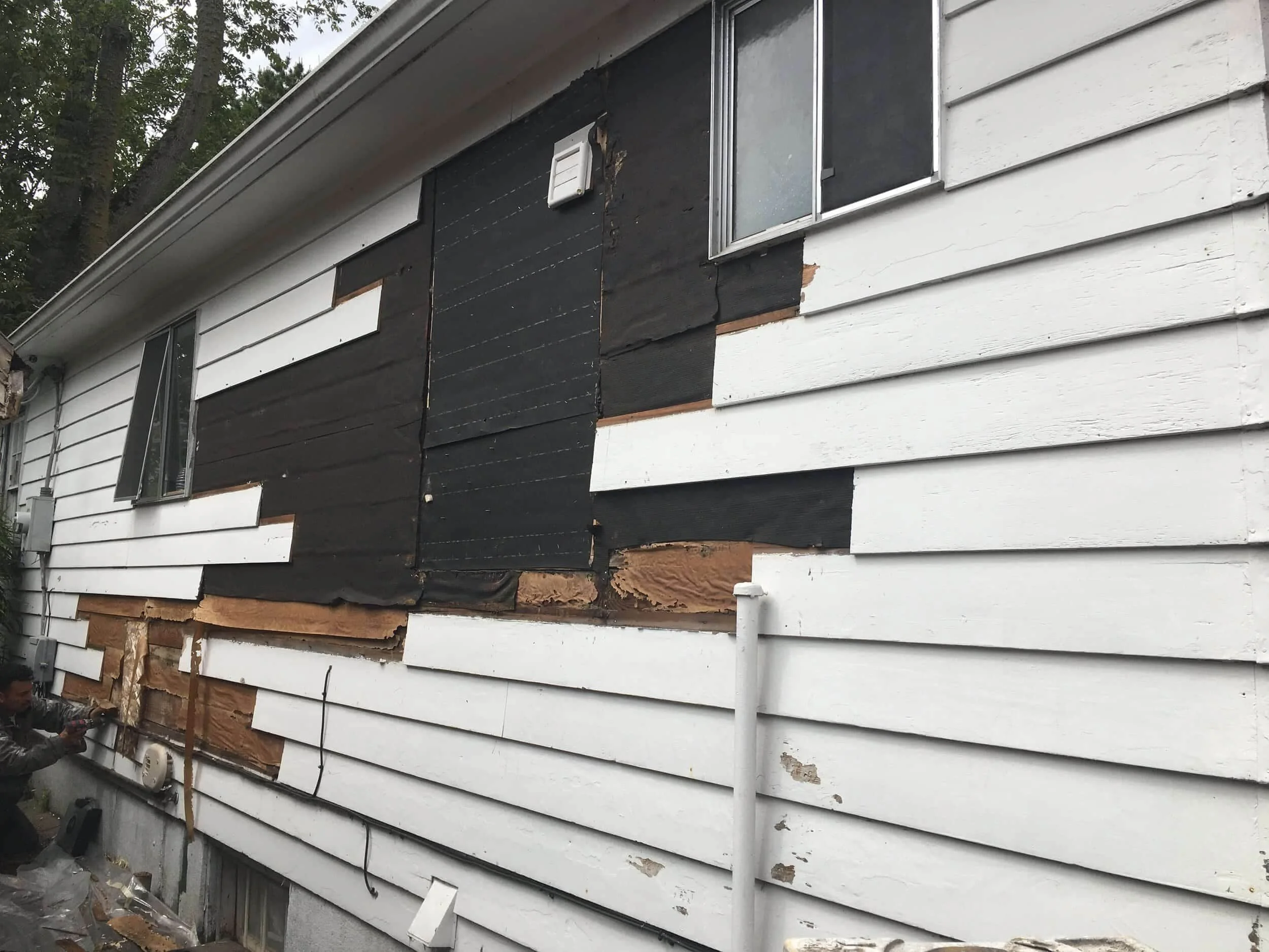 IMG-0540_compressed_compressed (1).jpg