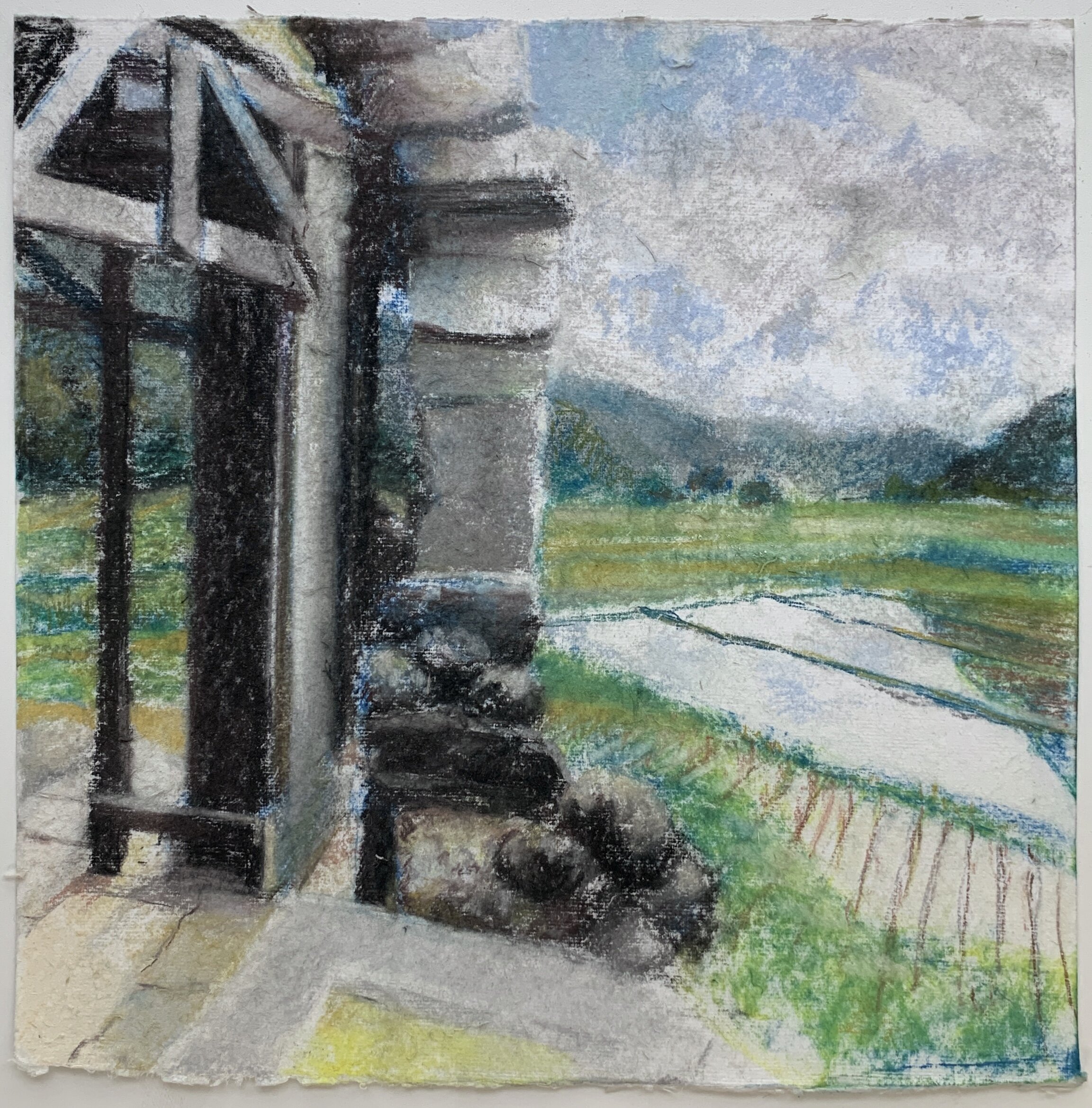   Pu Luong,  2019 pastel on paper, 12 x 12 in 