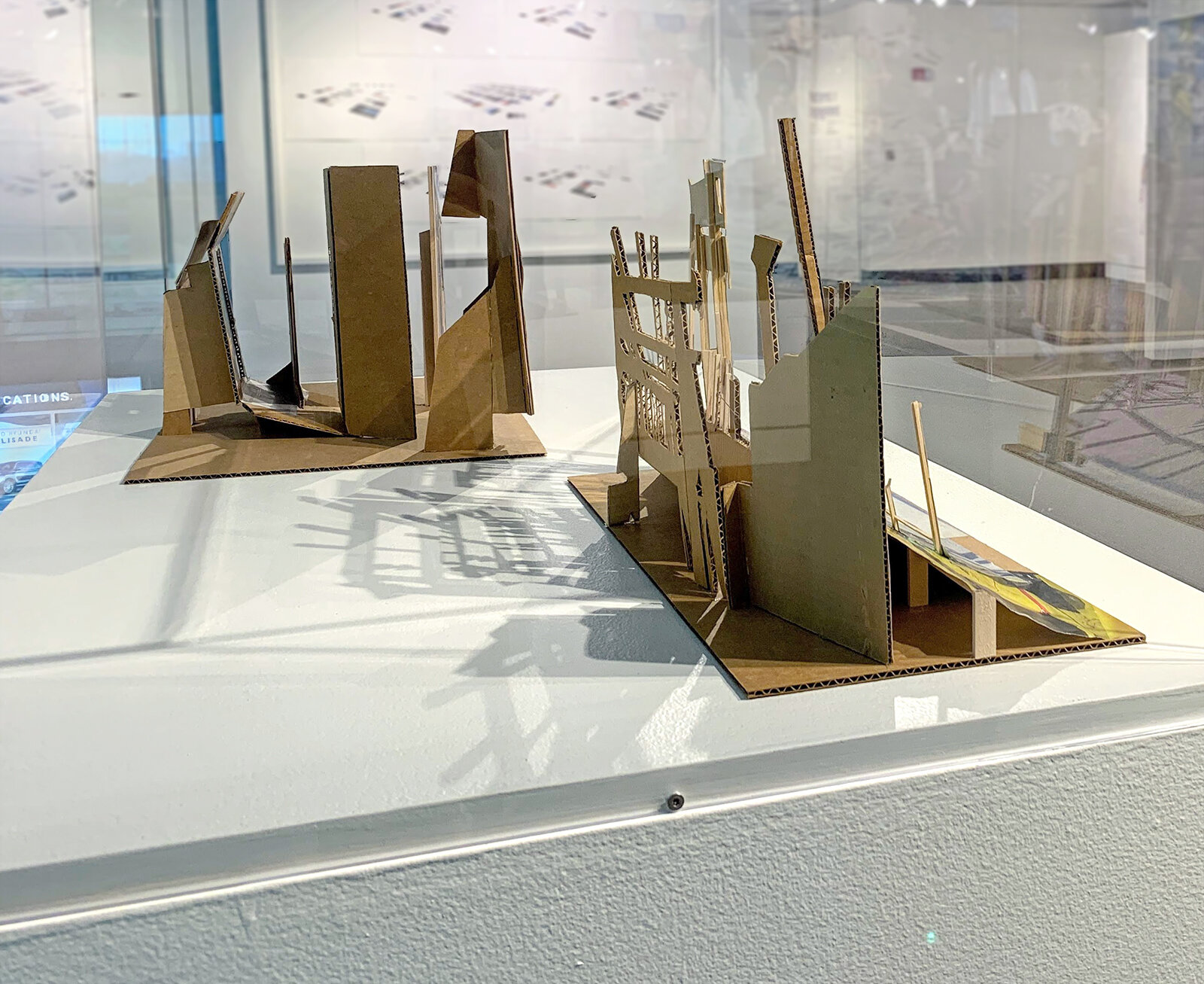   Models for Evolution  and  Synthesis  back view,  Patterns of Engagement , Albany International Airport 