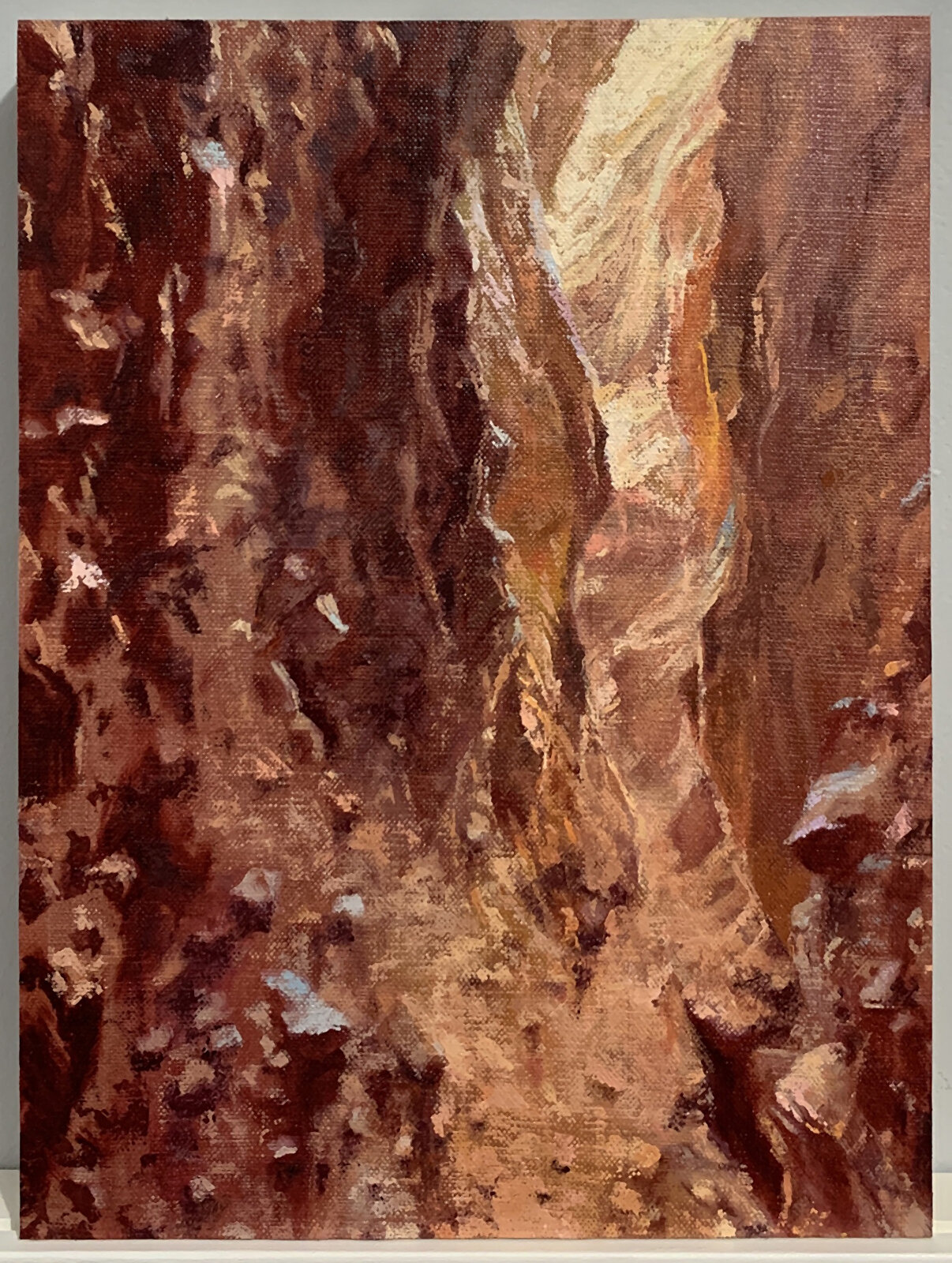   Sidewinder Canyon 1,  2020 oil on linen on panel 